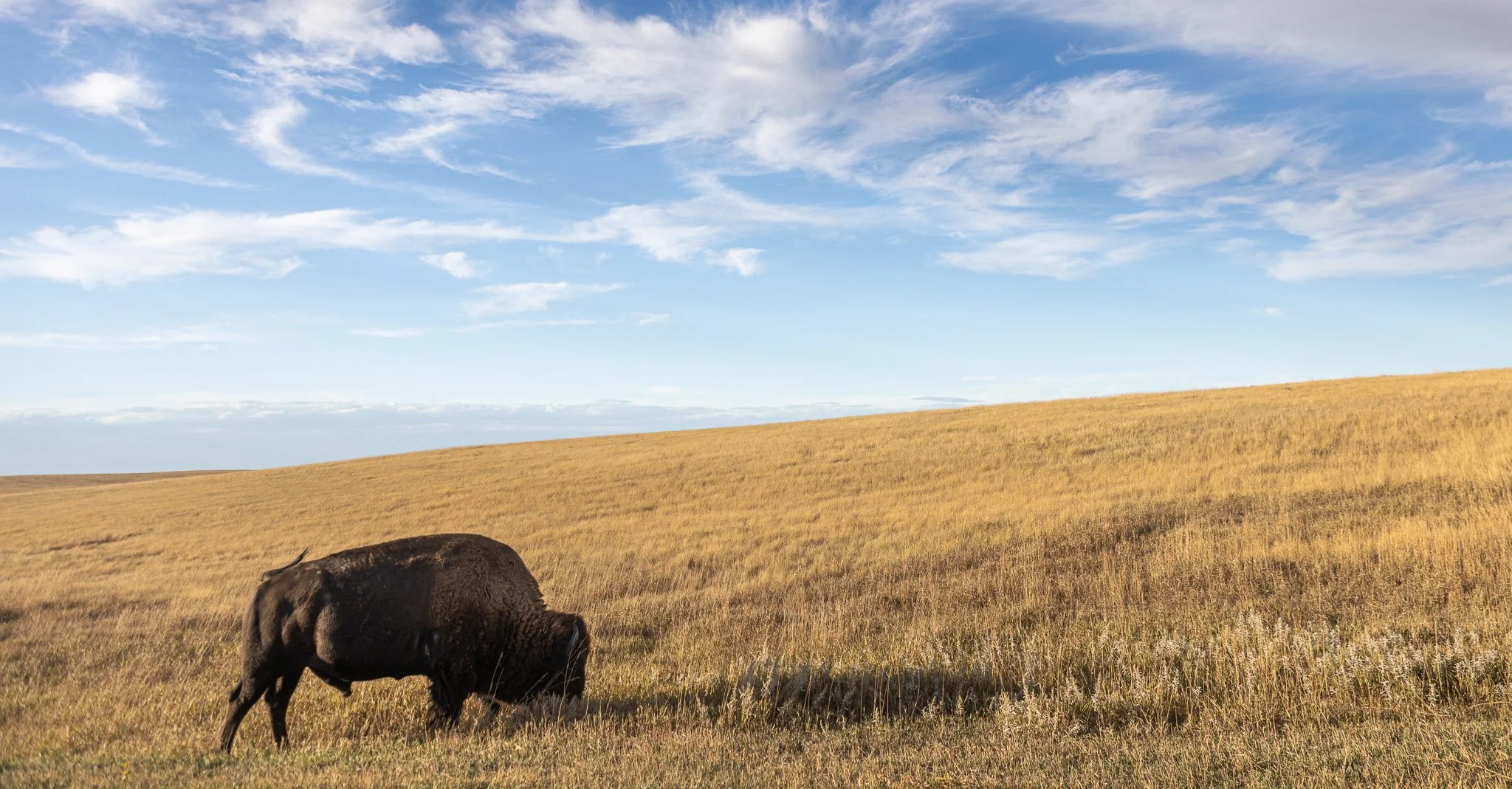Badlands National Park, South Dakota