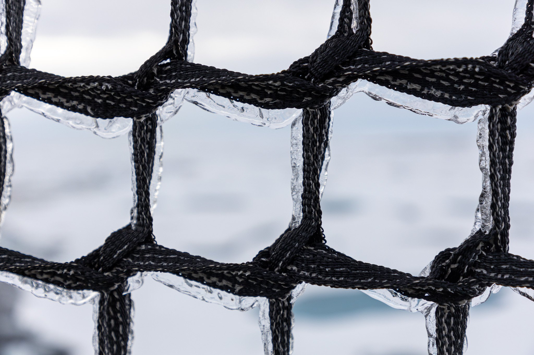 Ice freezing on netting.