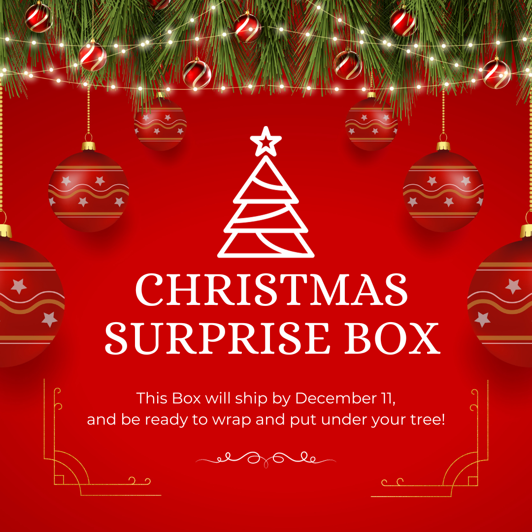 Christmas Surprise Box