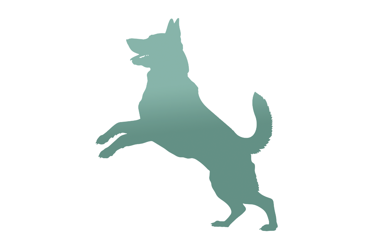 Huskies (Dogs)