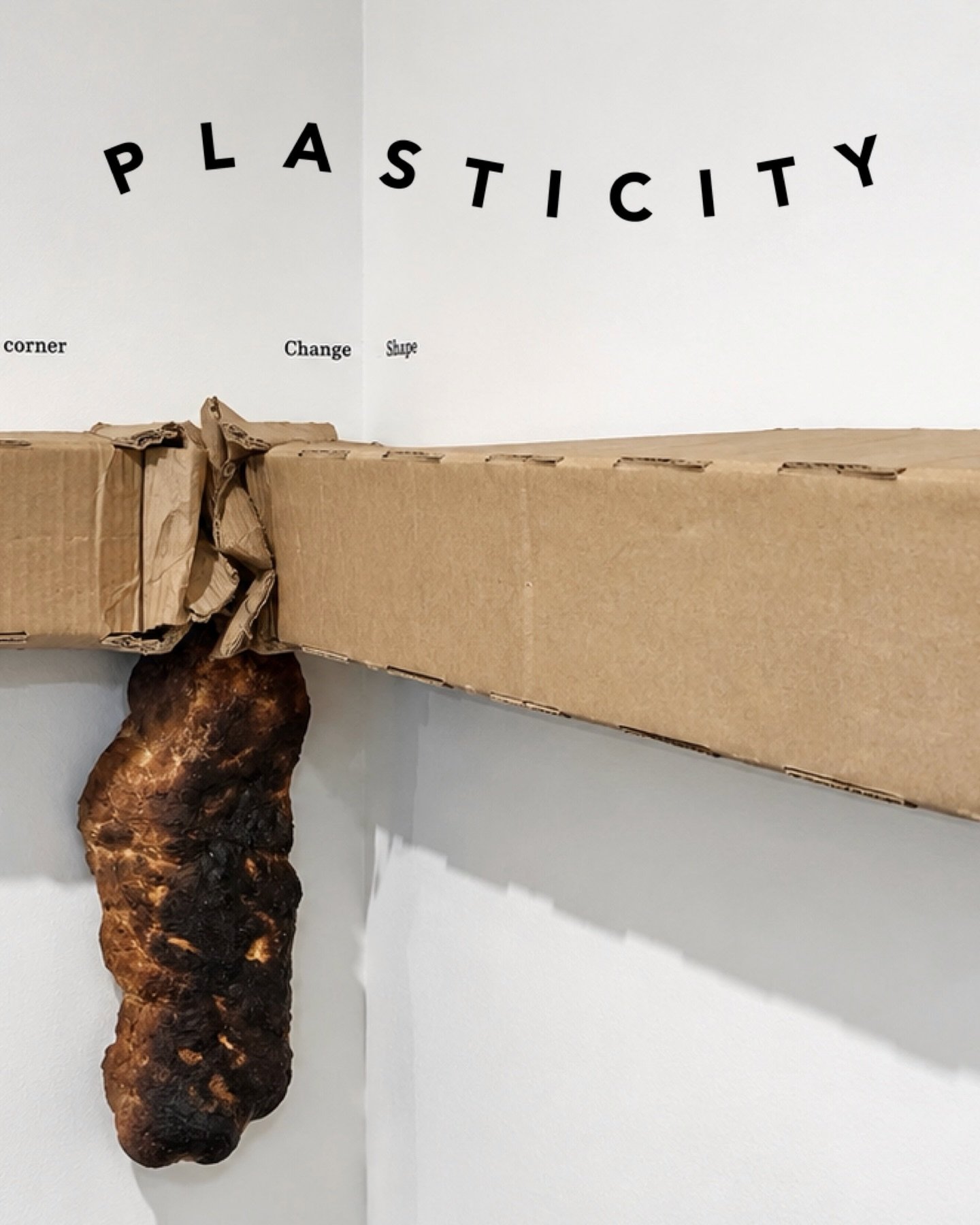 Our digital 𝗘𝘅𝗵𝗶𝗯𝗶𝘁𝗶𝗼𝗻 𝗕𝗿𝗼𝗰𝗵𝘂𝗿𝗲  brings together the curatorial framework for 𝙋𝙡𝙖𝙨𝙩𝙞𝙘𝙞𝙩𝙮, information about the participating artists and works, and details of the exhibition&rsquo;s public programming.

Explore the brochu
