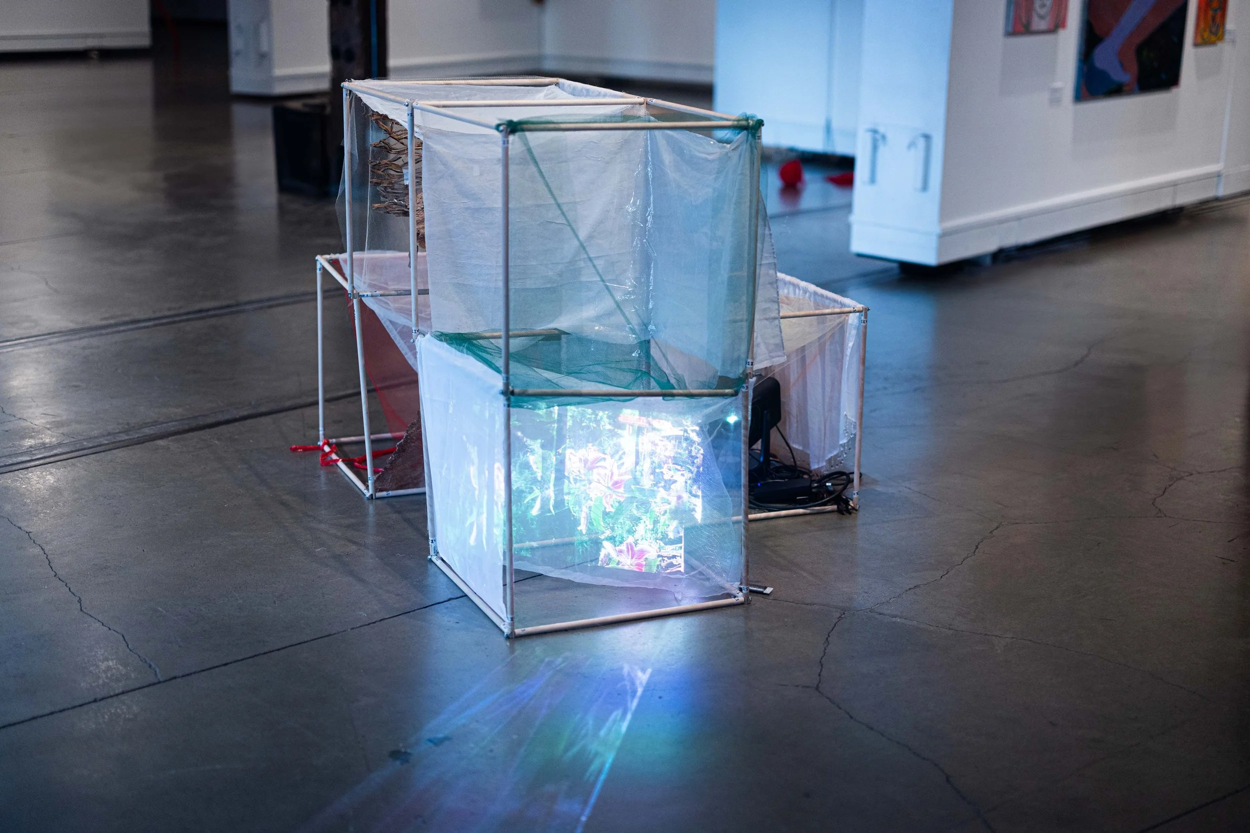 VIVA-WEBSITE_PLASTICITY-20.jpg
