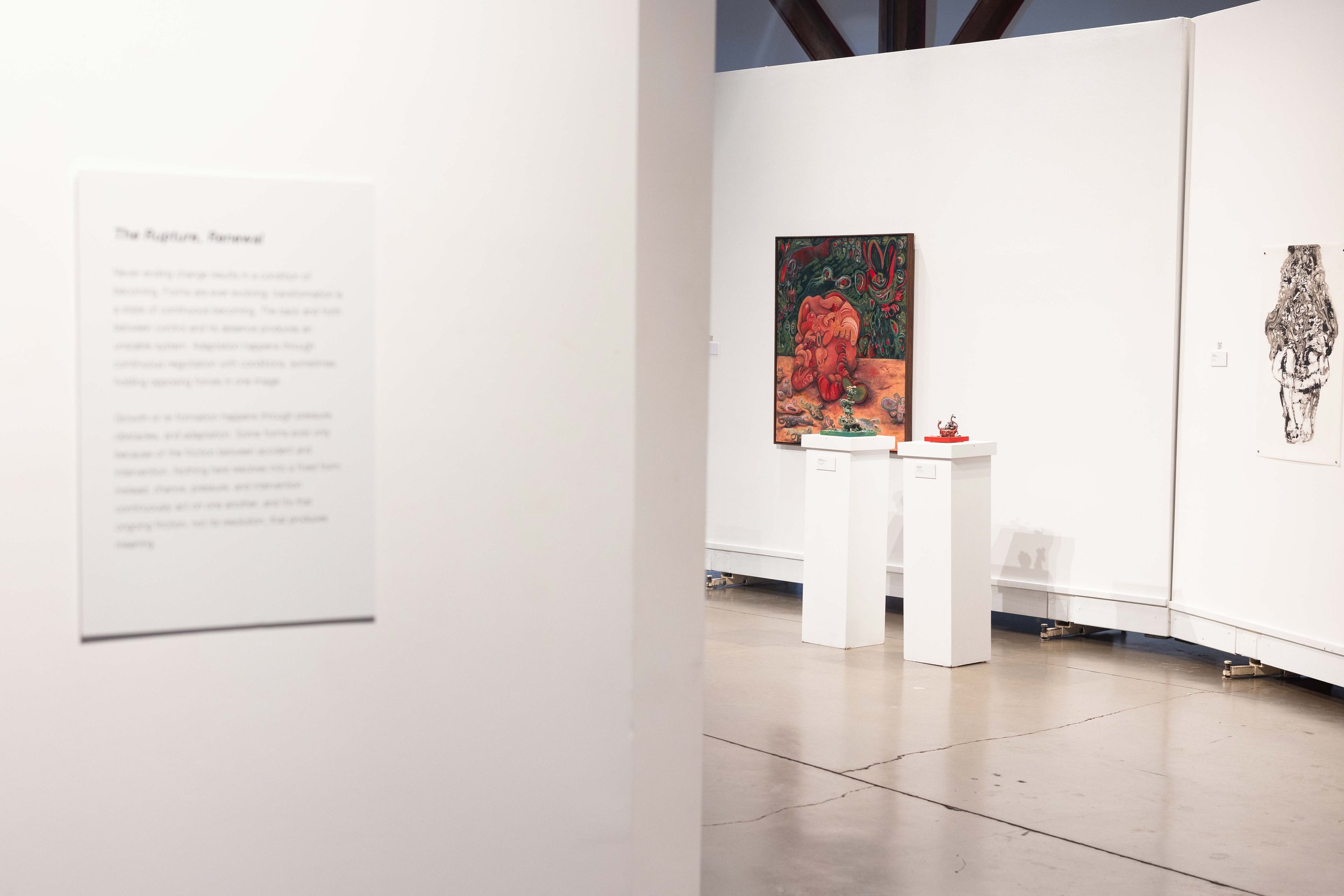VIVA-WEBSITE_PLASTICITY-14.jpg