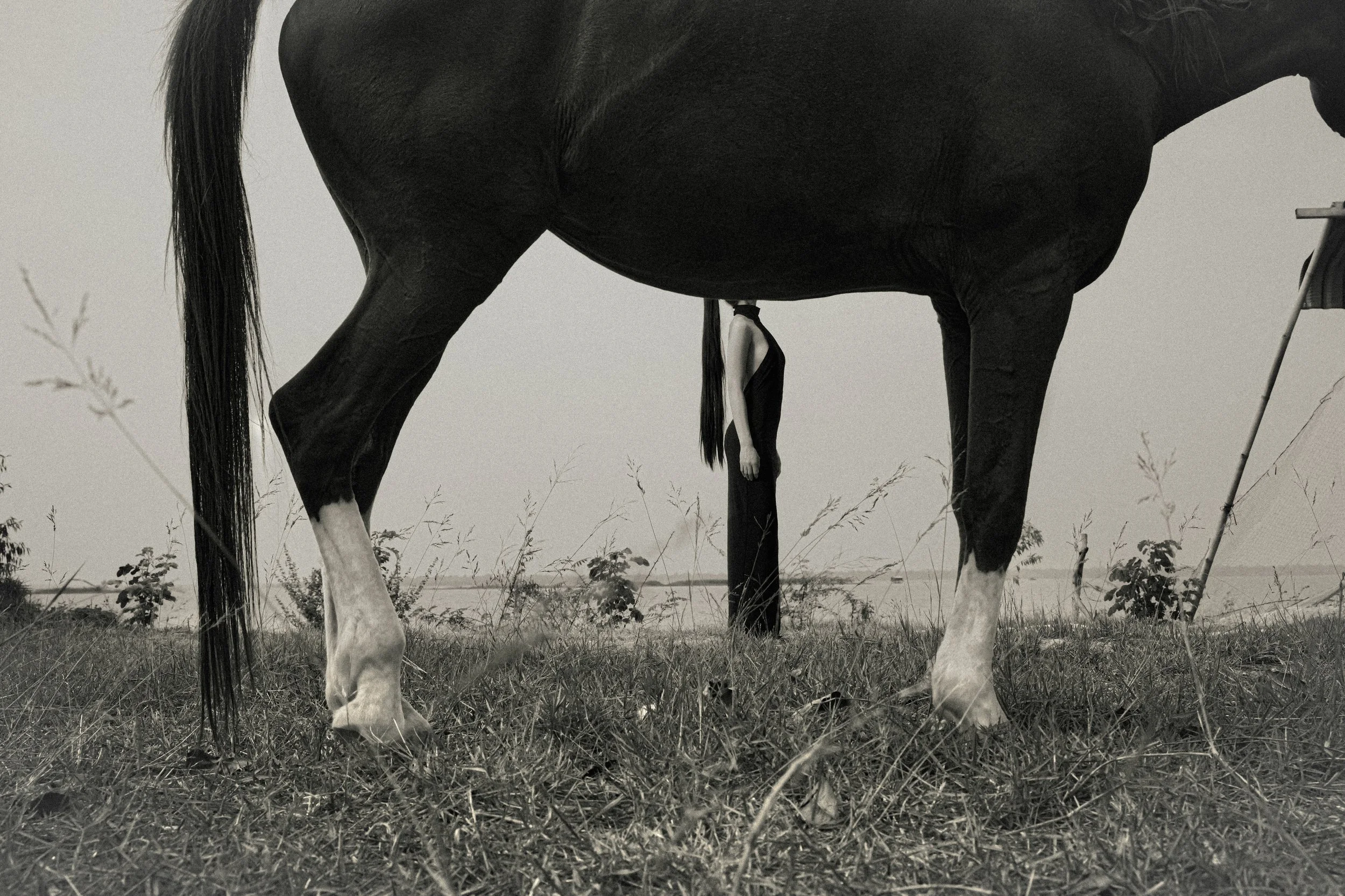 Sagittarius (2026)