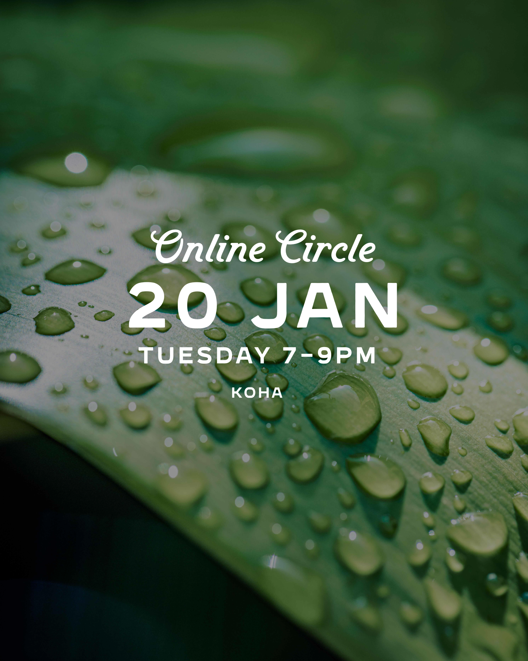 Online Circle Jan.png