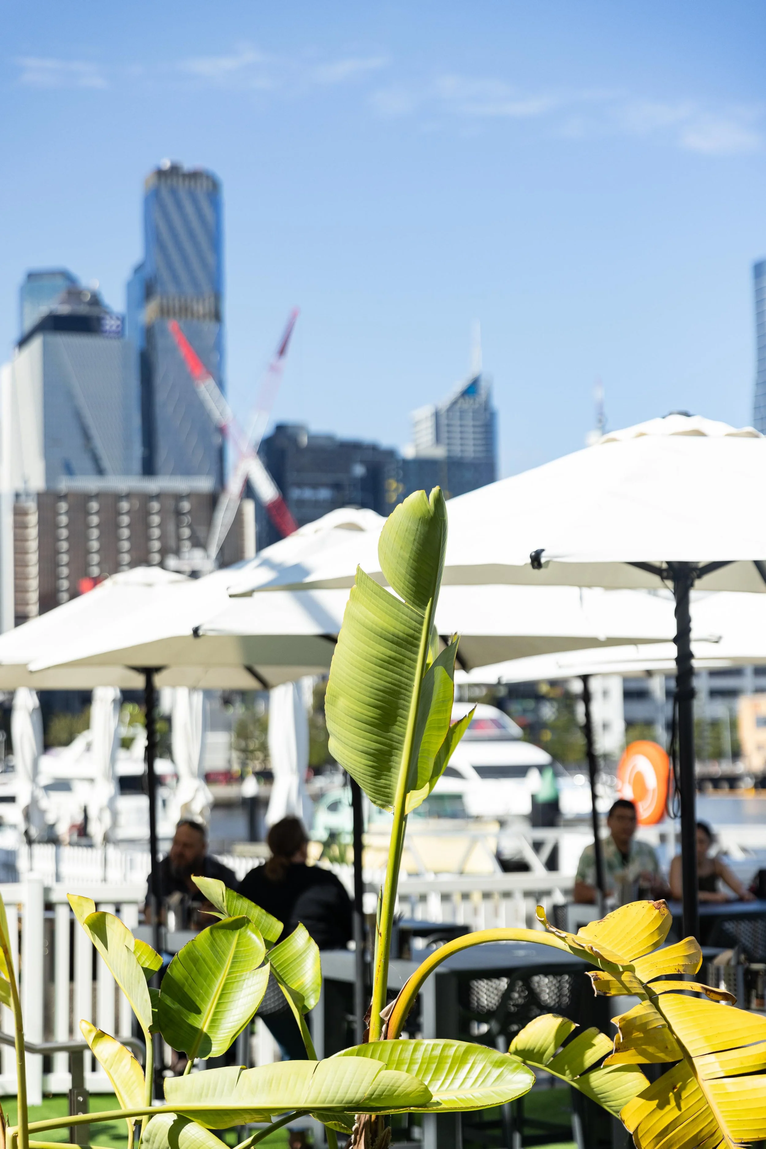 Gallery — Cargo Restaurant