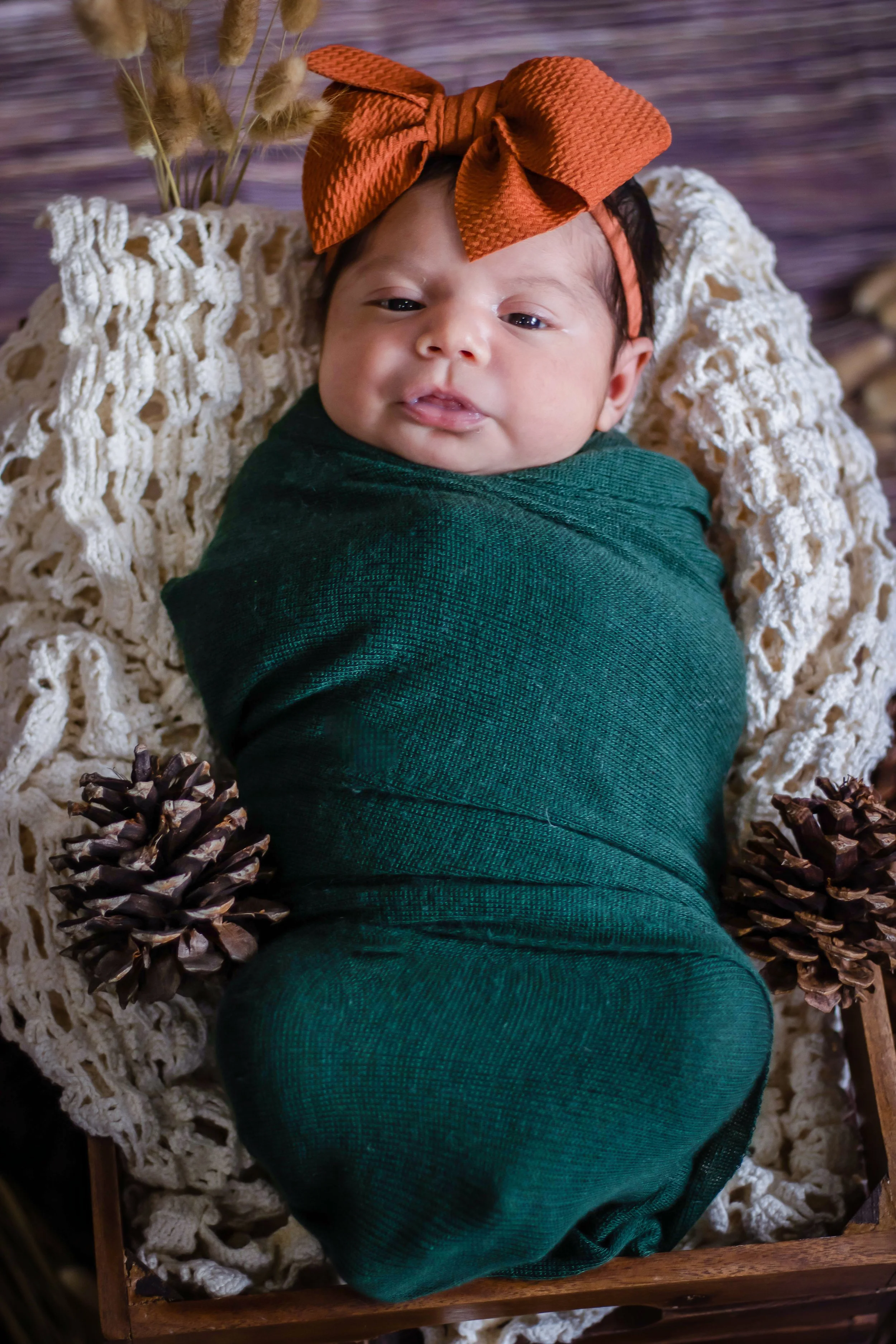 Baby Scarlett (3).jpg