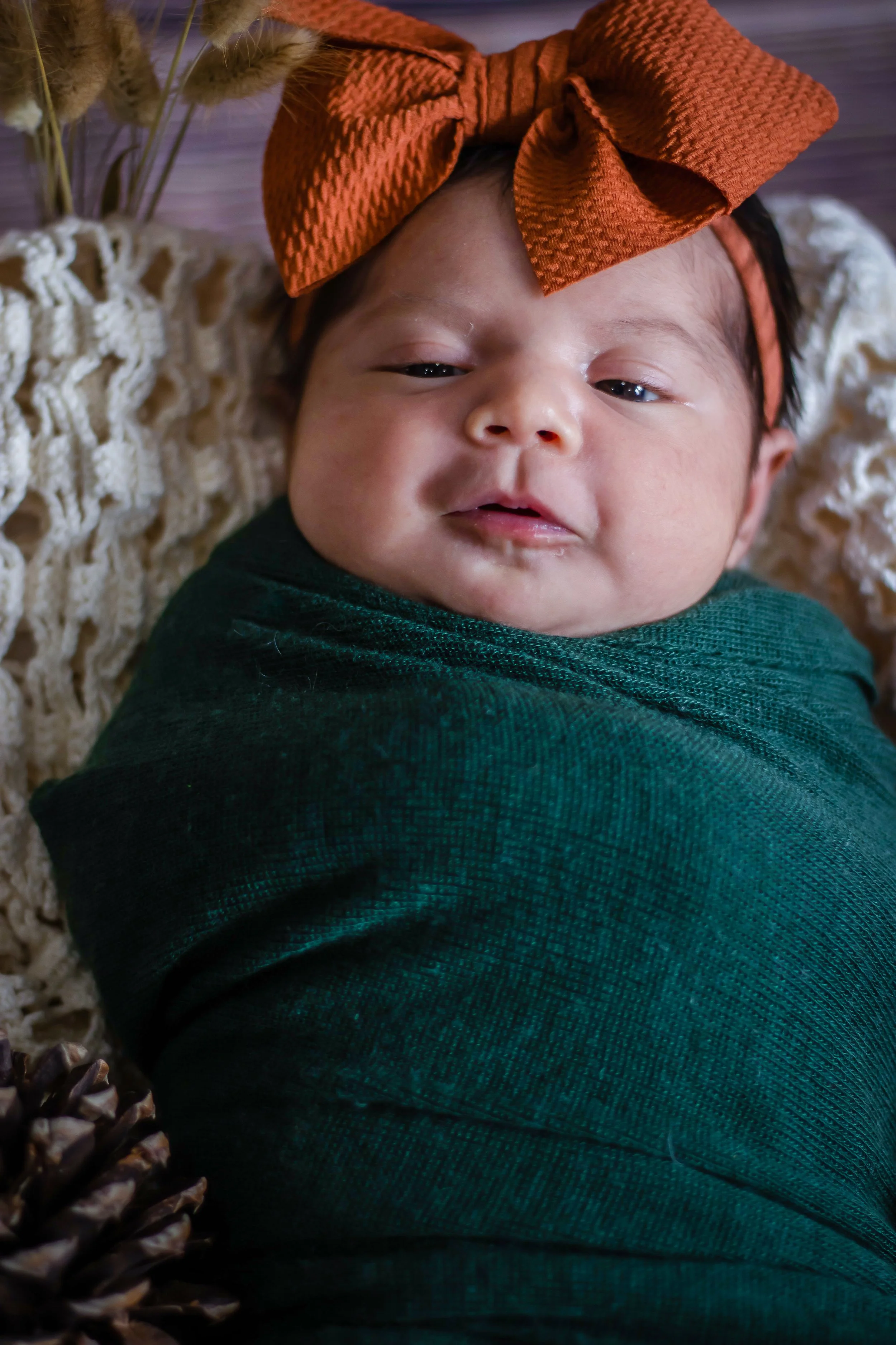 Baby Scarlett (4).jpg
