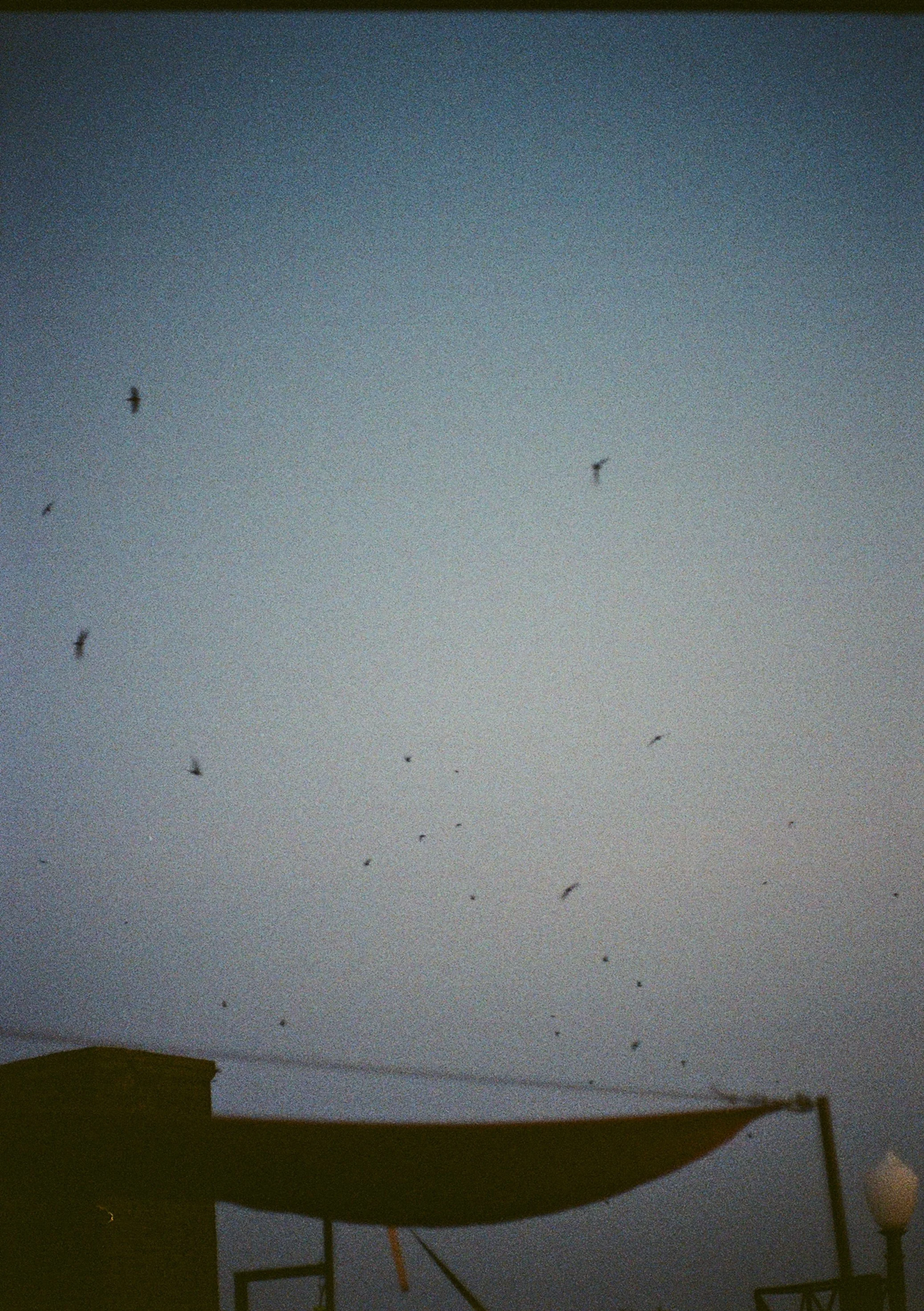 thegalaxy.me/edith.oduraa (Copy) (Copy) (Copy) (Copy)