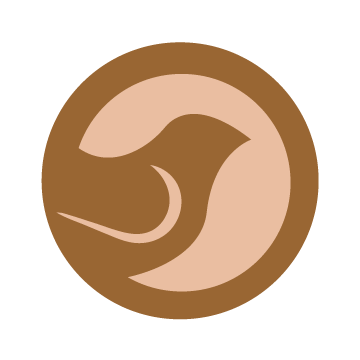 Brown + Peach-01.png