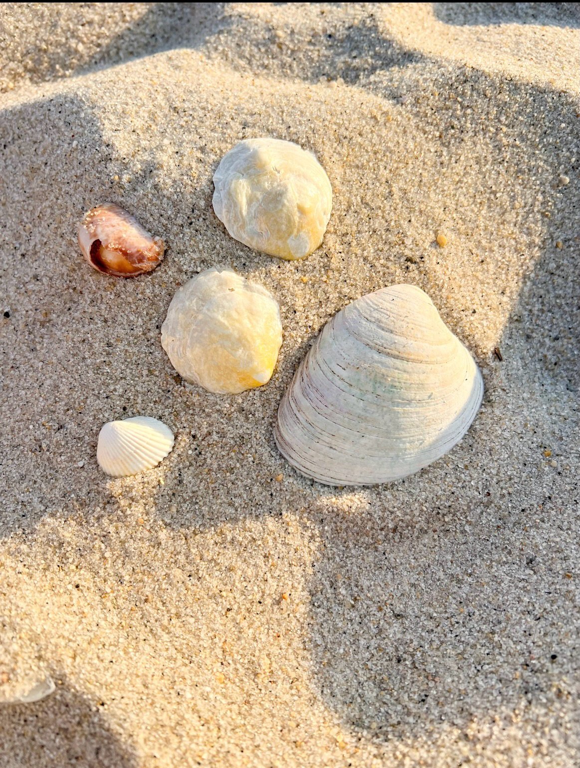 Photo dump from the last few weeks. I went from painting every day to not picking a paintbrush up for weeks. Despite the slow winter season, life feels busier than ever. I&rsquo;m quietly trying to build some things in the background, but man, things