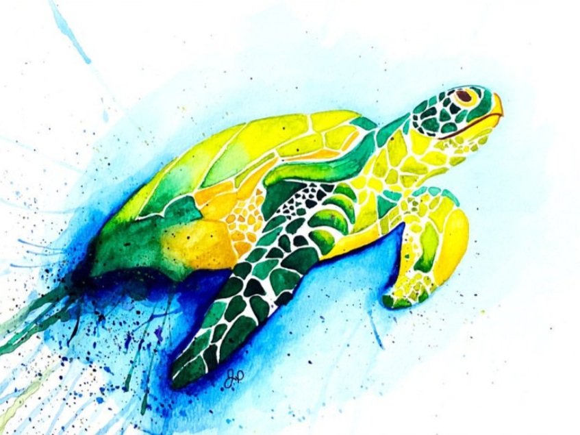 Splatterback+Turtle+Watercolor+Painting.jpg