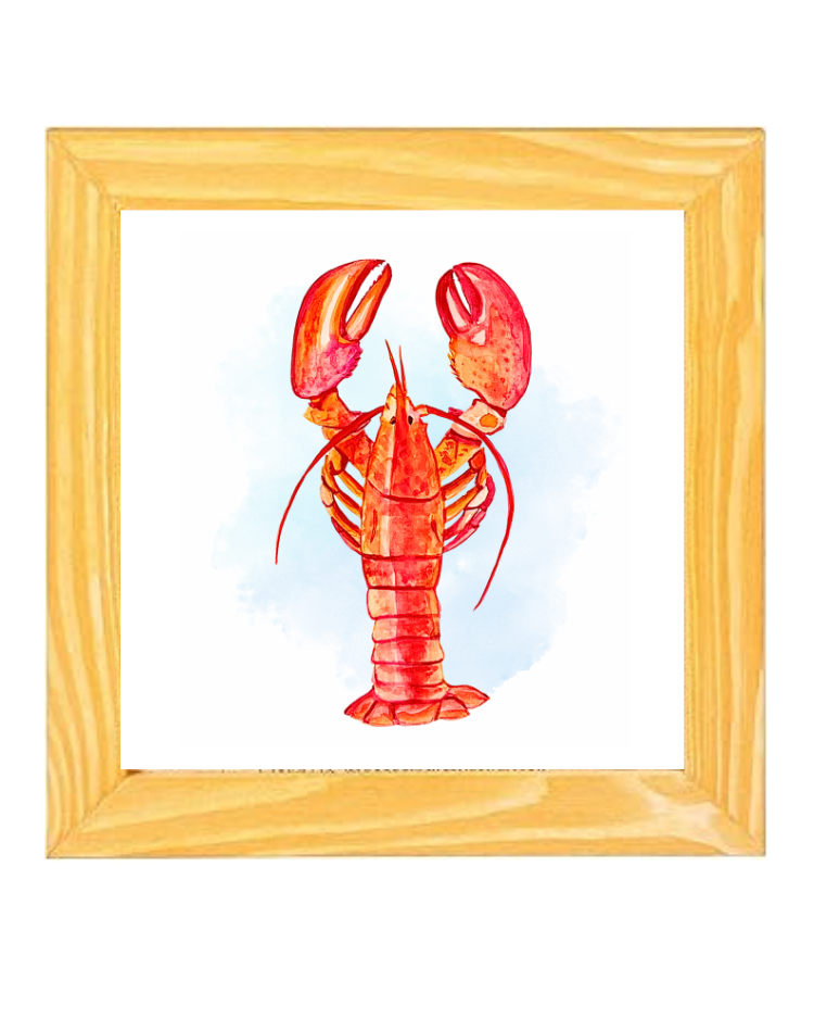 Lobster in Frame.png