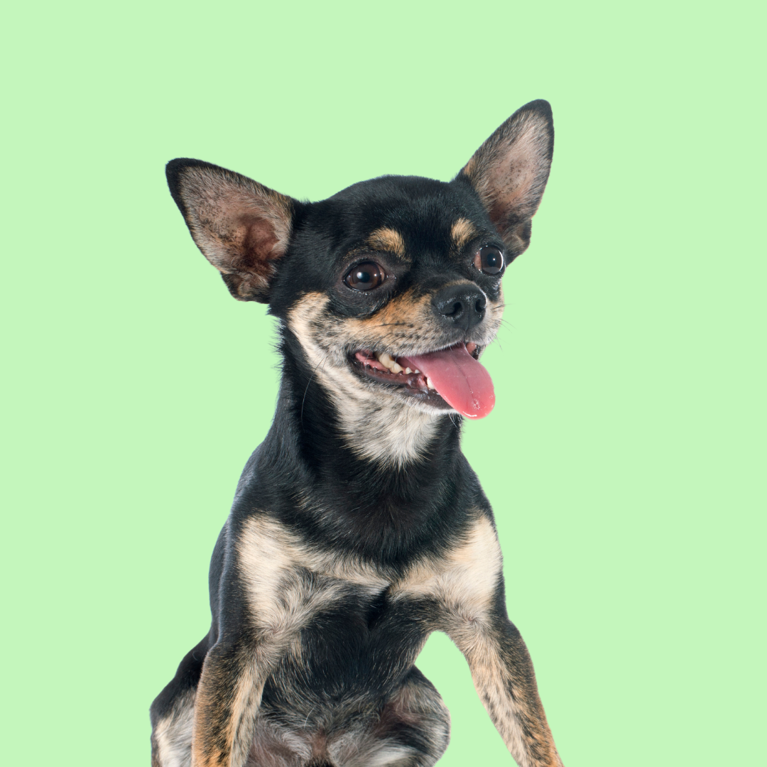 Untitled design(22).png