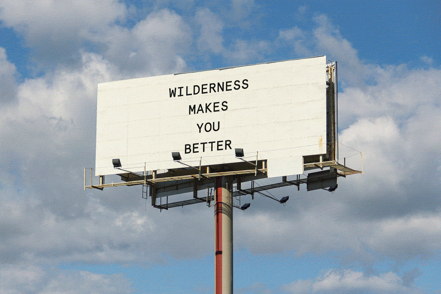 WILDERNESS BRAND, IDENTITY  ↳