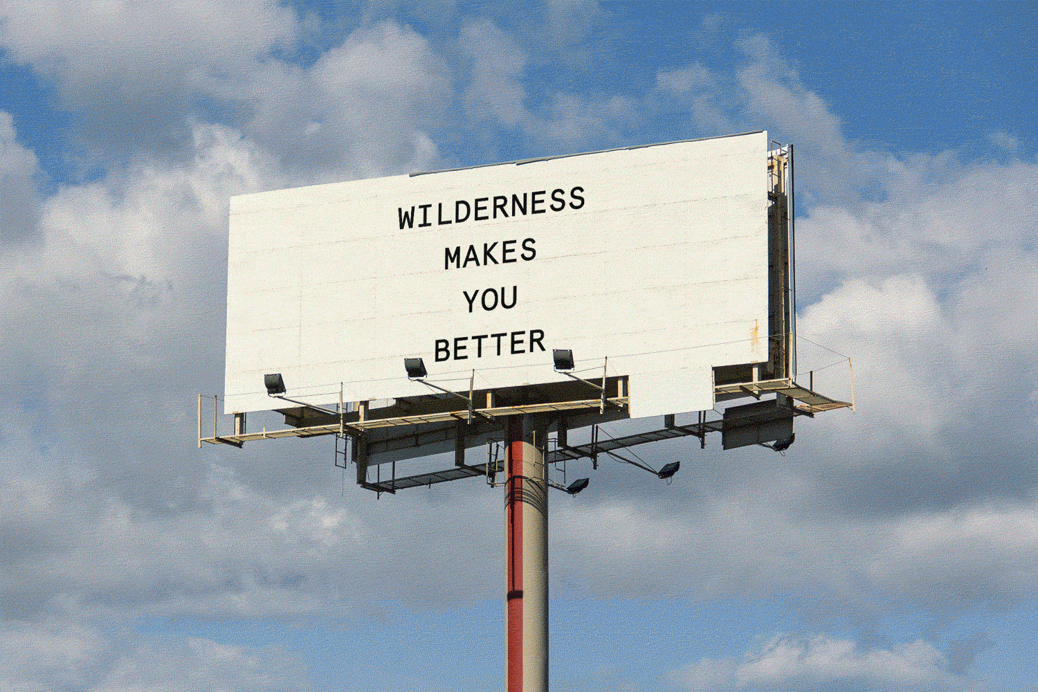 WILDERNESS BRAND, IDENTITY  ↳