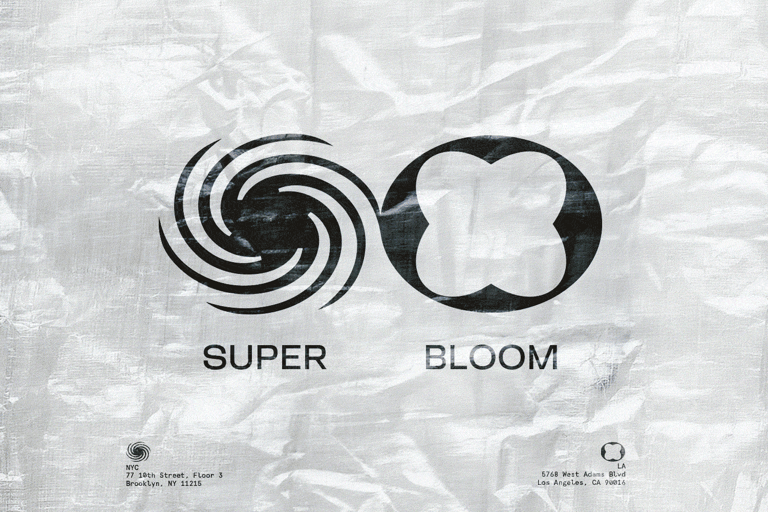 SUPERBLOOM HOUSE, IDENTITY ↳