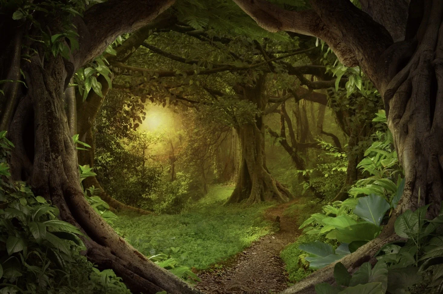 A Grounded Look Back at 2025 and a Steady Step Into 2026