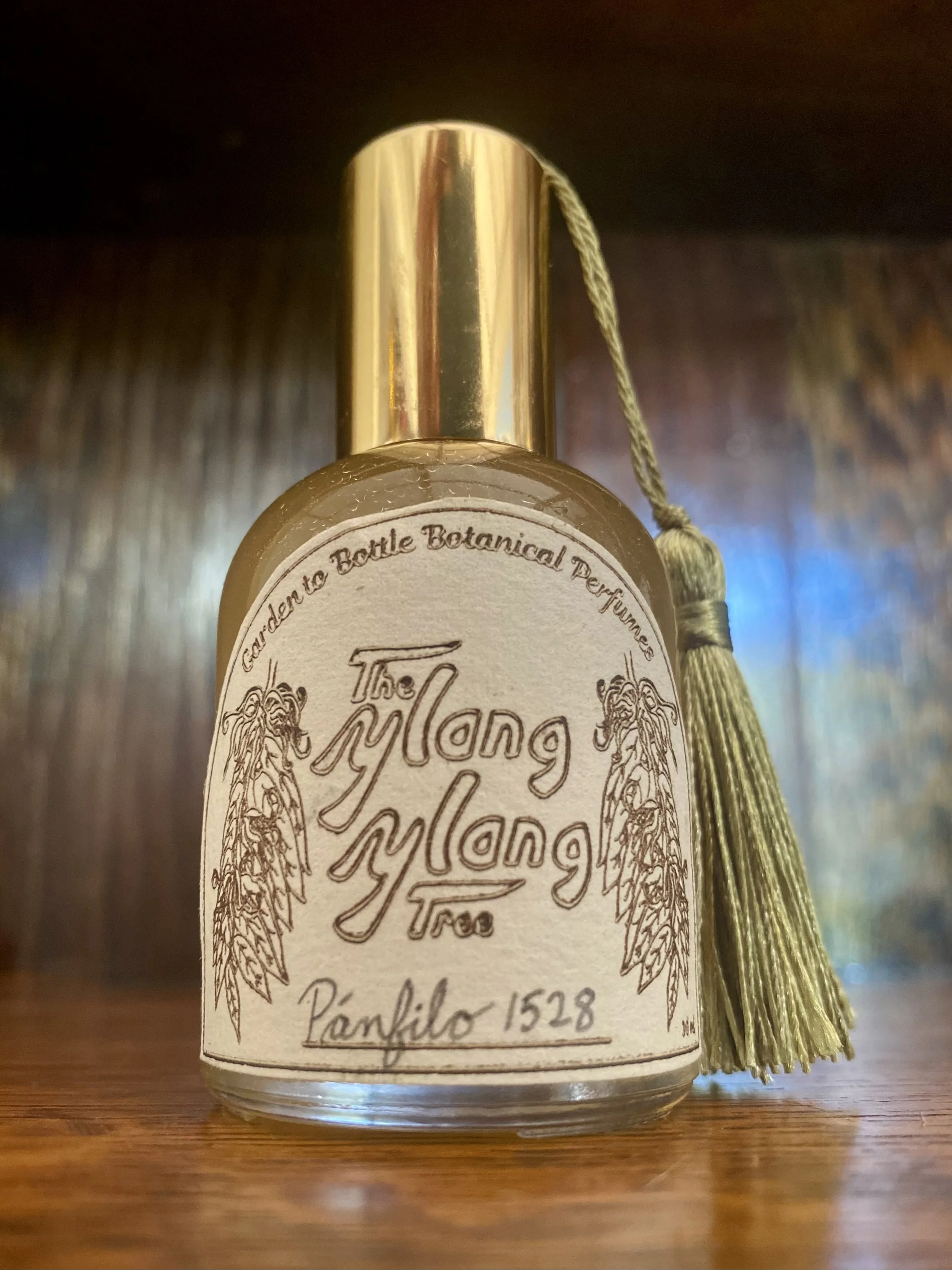 Pánfilo 1528 Cologne