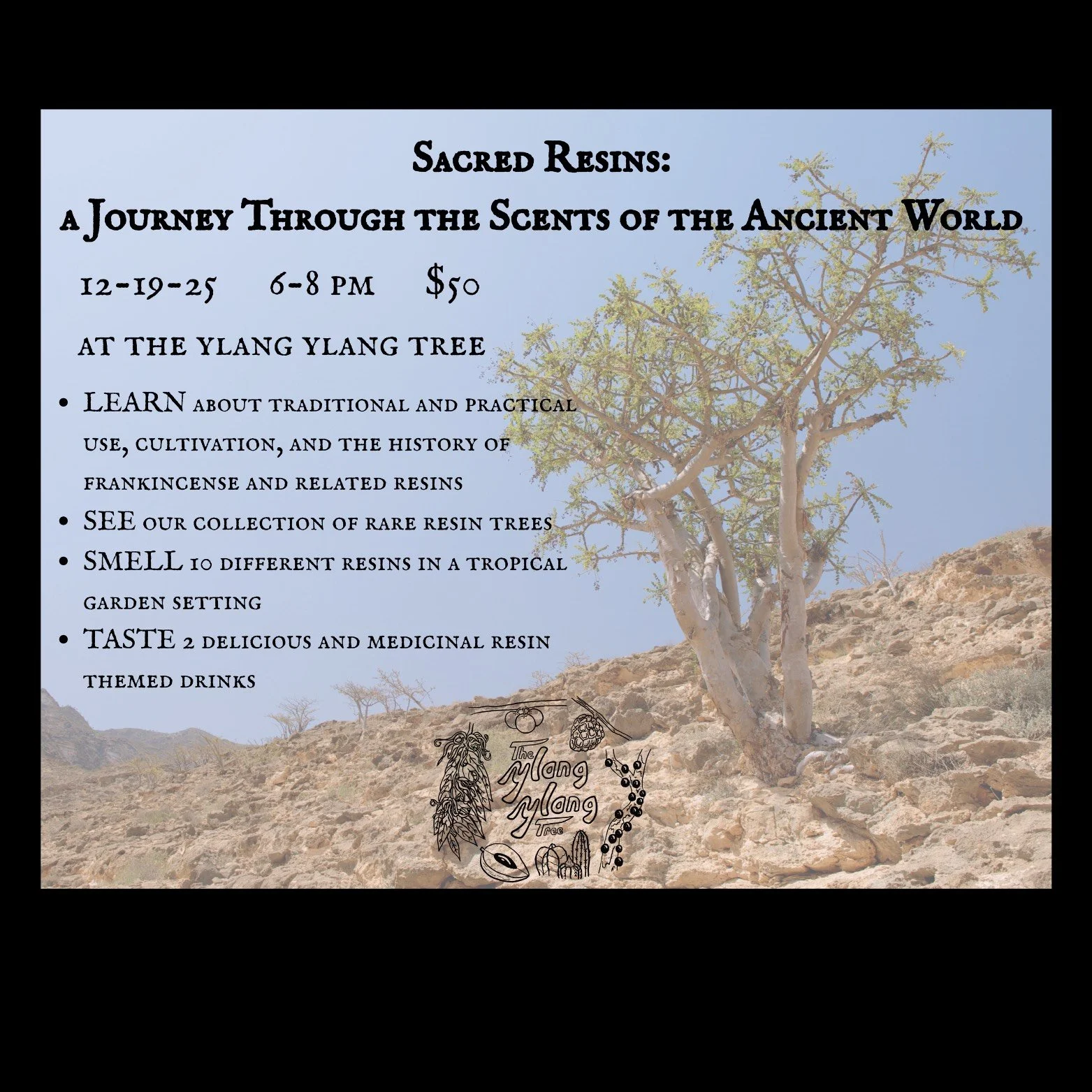 Sacred Resins: A Journey Through the Scents of the Ancient World