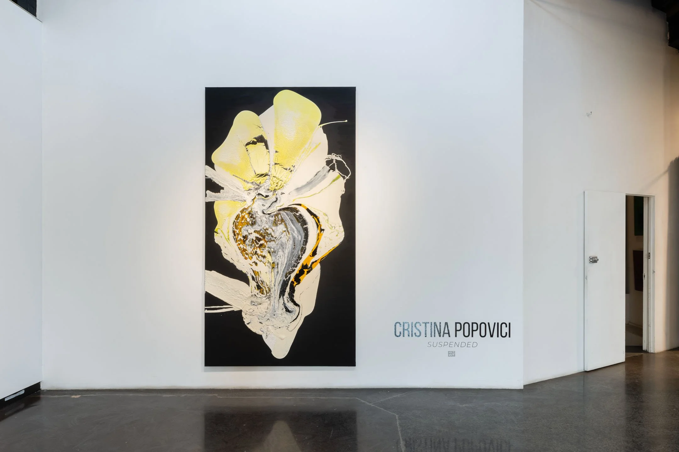 Cristina-Popovici-Install-COMPENDIAUM-20250501_DSC2530-edit.jpg