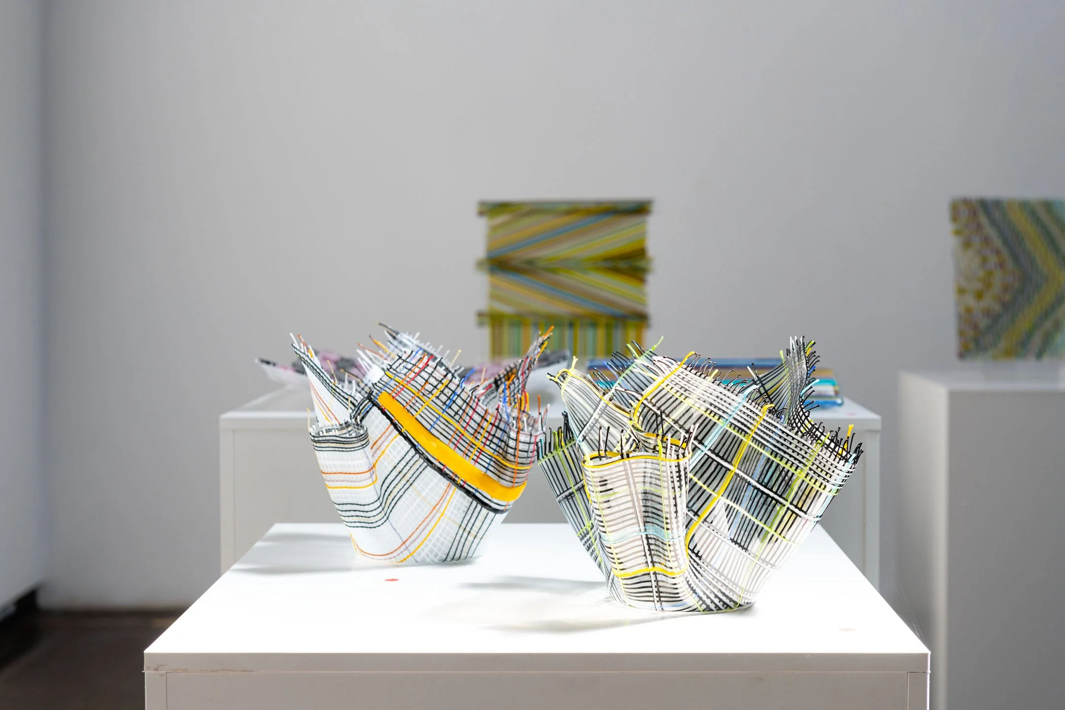 Jacqueline-Jacobi-install-COMPENDIUM-20250215_DSC9735-edit.jpg