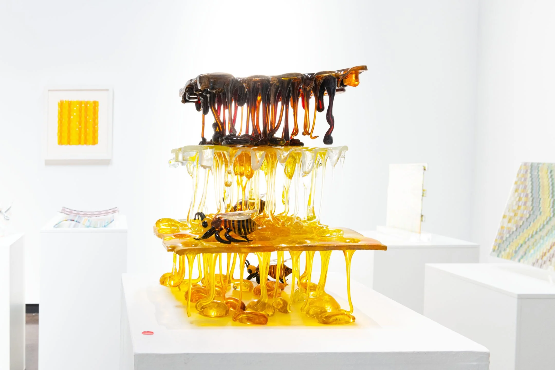 Jacqueline-Jacobi-install-COMPENDIUM-20250215_DSC9765-edit.jpg