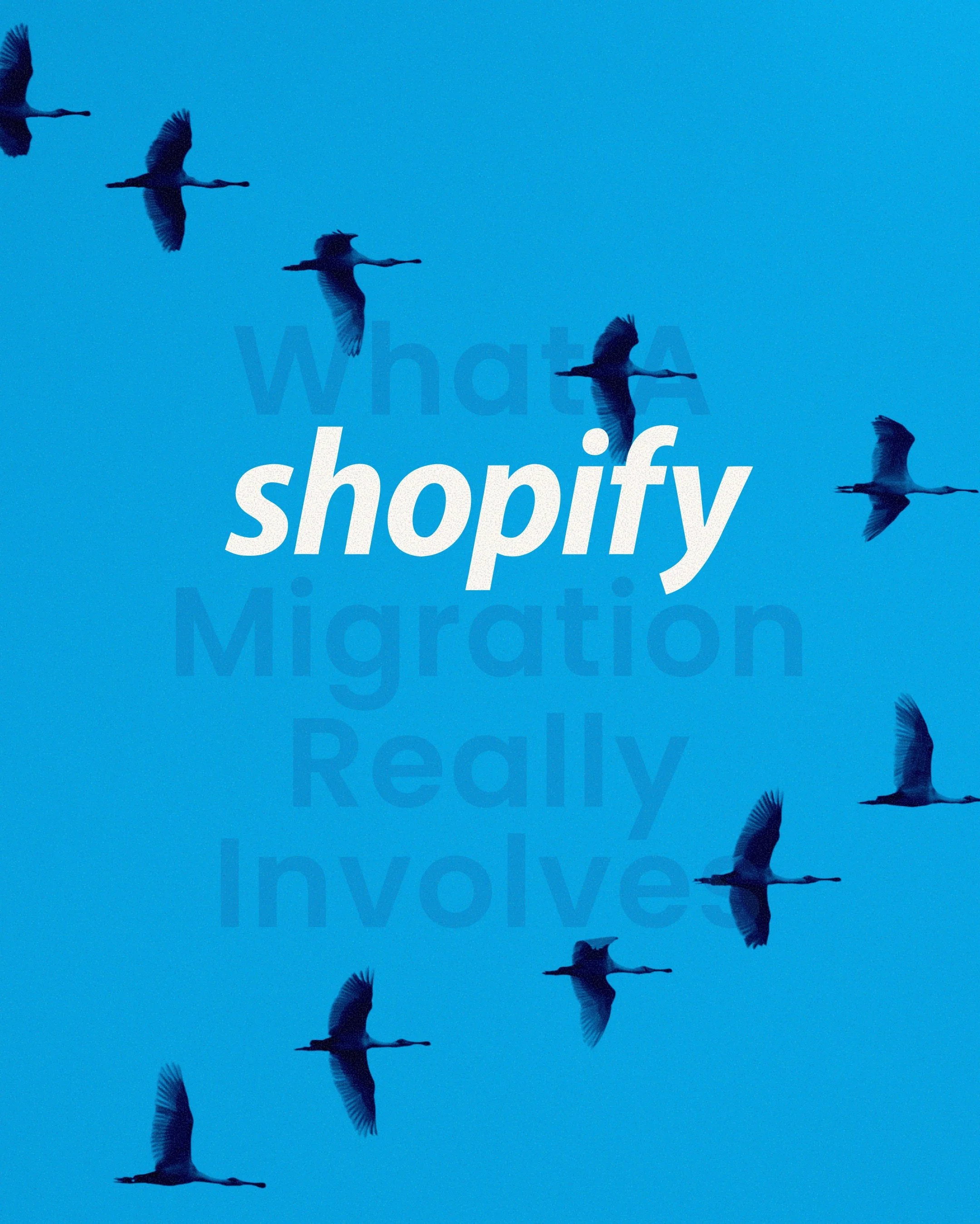 Social Media Asset for Digital Agency