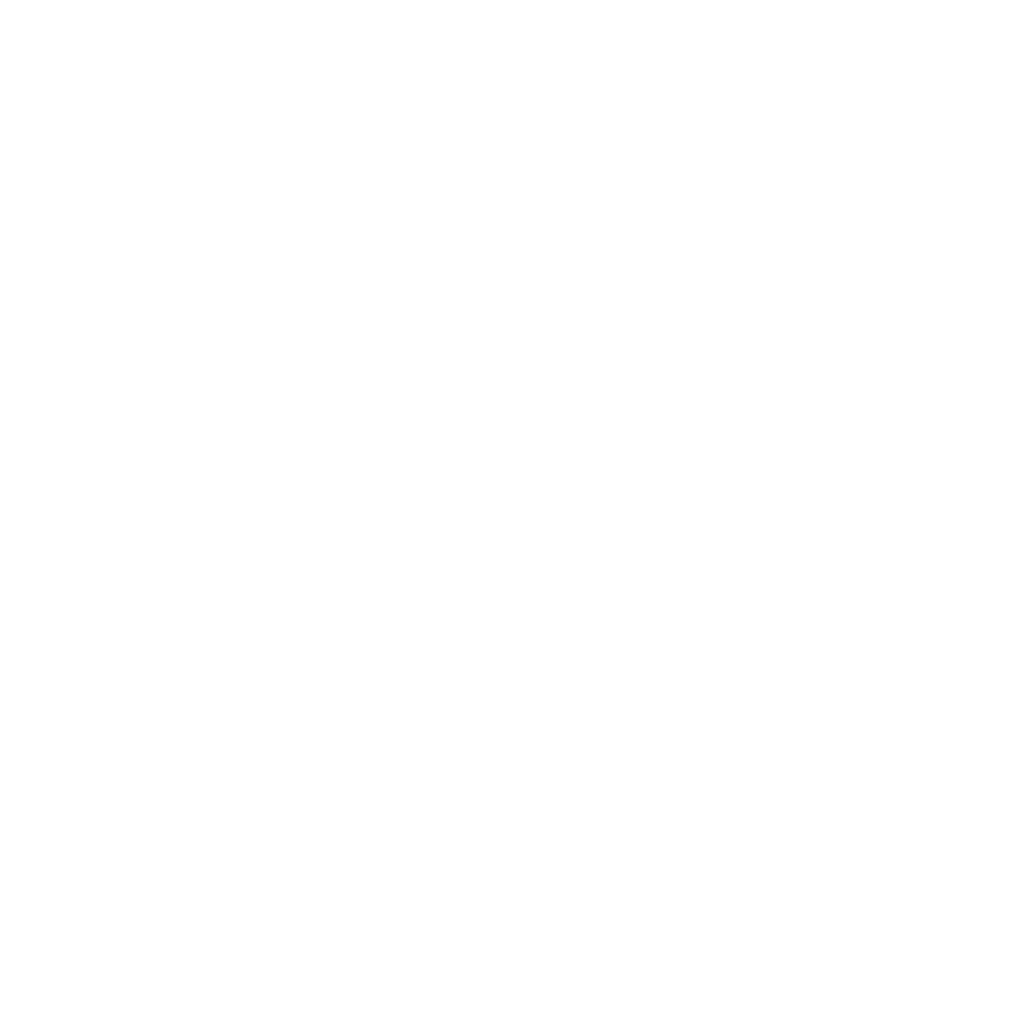 Final Logo Variation 