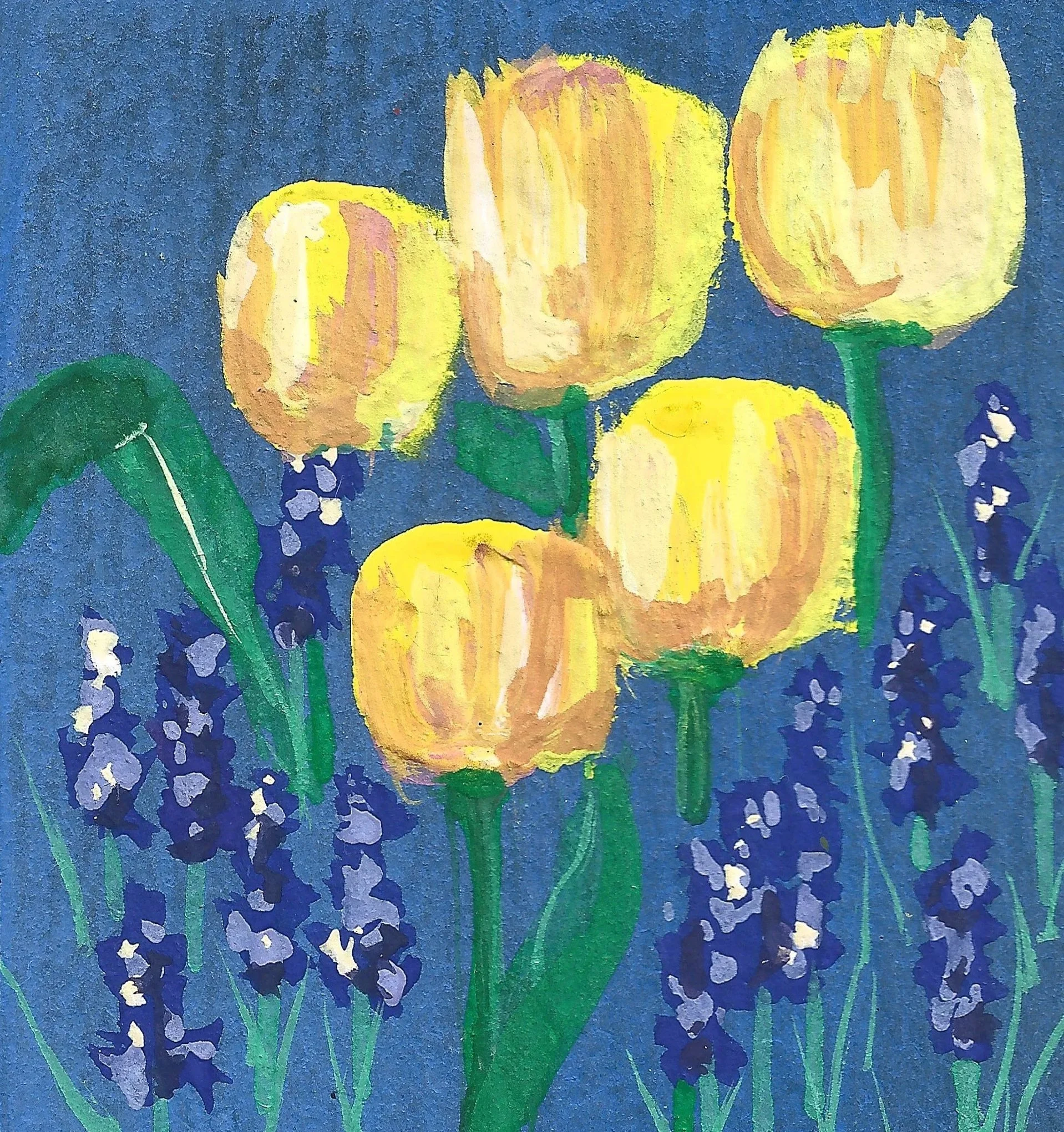 Yellow Tulip