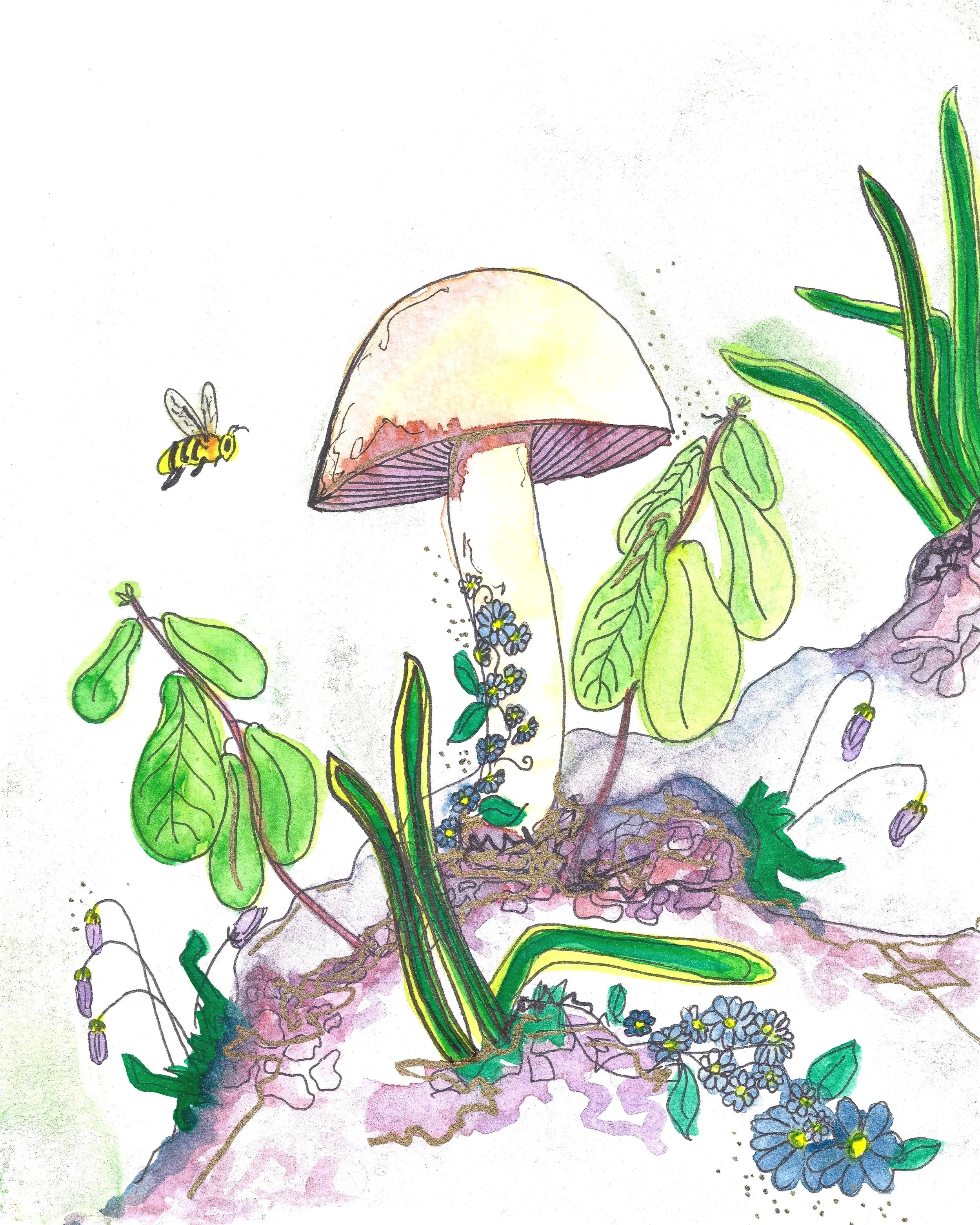Mushrooms at the park