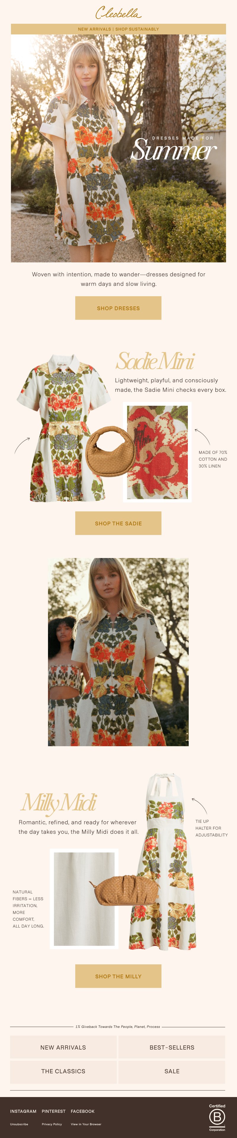 2 Summer Roses Print Focus.jpg
