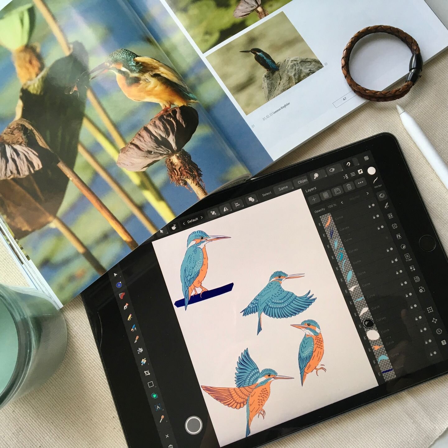 🐦 Not trying to be a kingfisher whisperer. Studying the bird from different positions are important for better artwork.👩&zwj;🎨