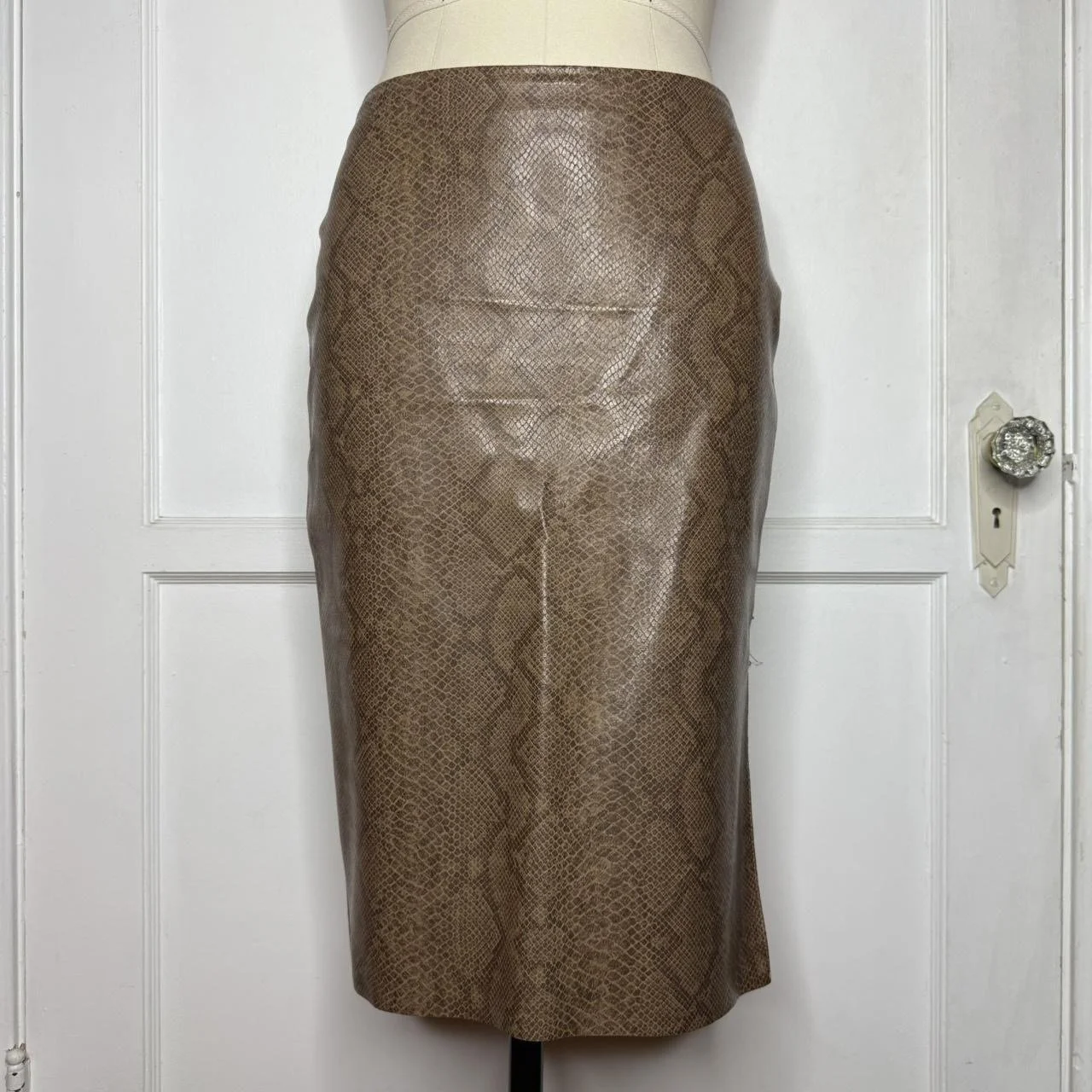 morganbrownmidiskirt1.JPG