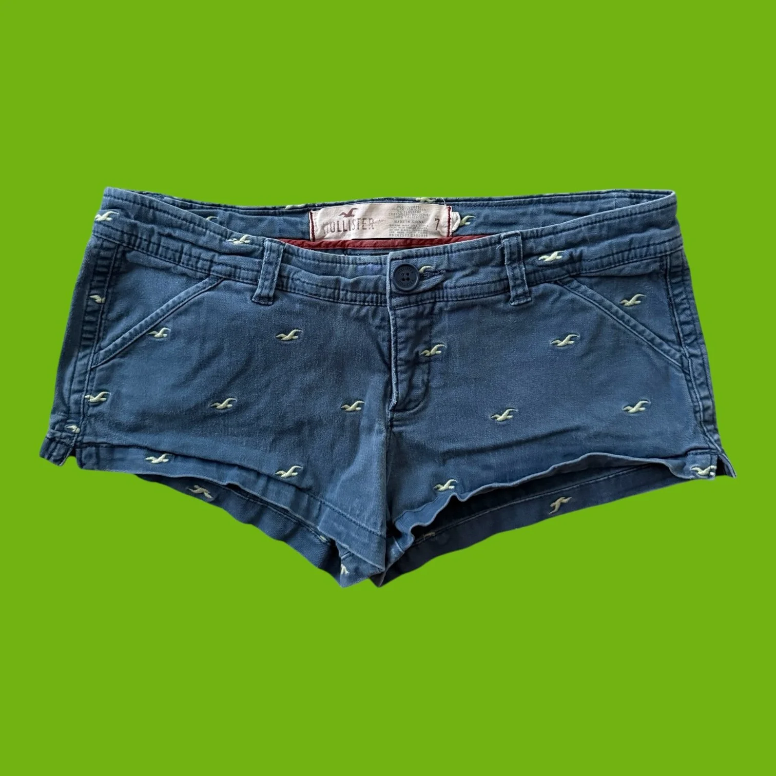 hollisterbirdshorts1.JPEG