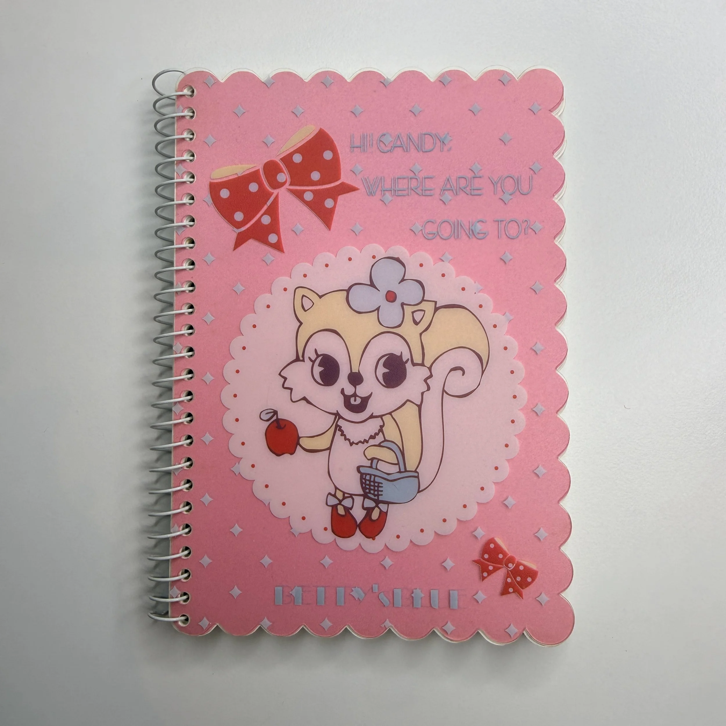 bettysbluesquirrelnotebook1.jpg
