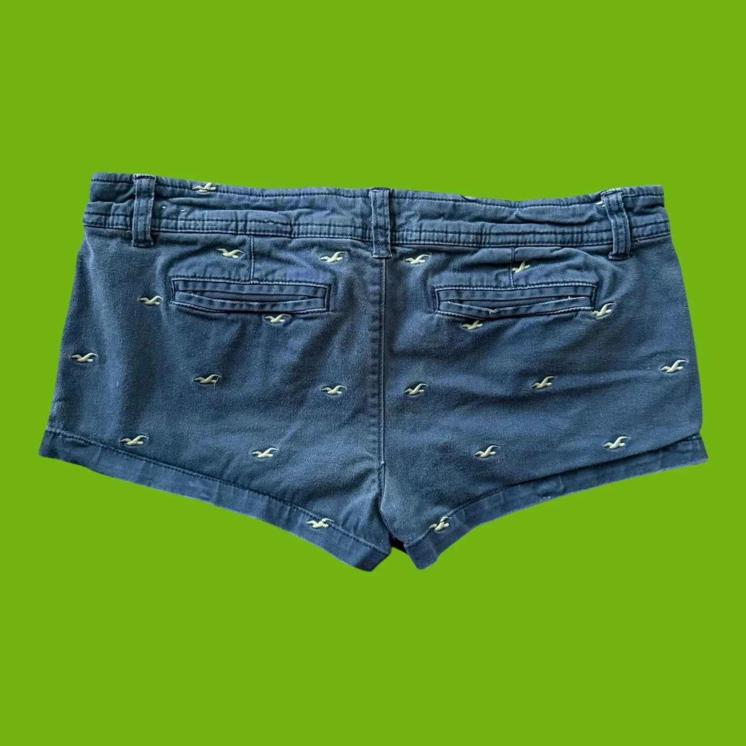 hollisterbirdshorts4.JPEG