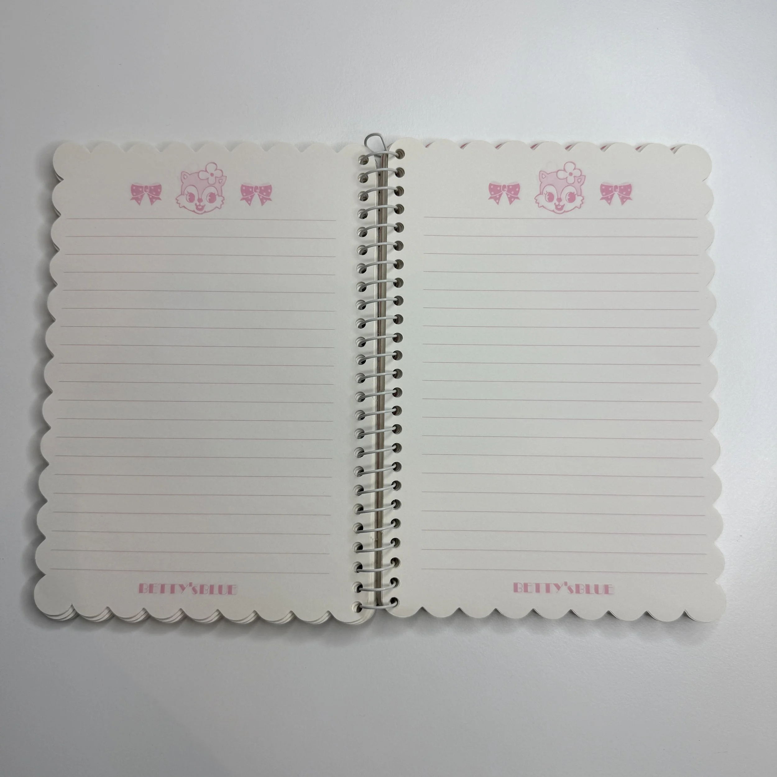 bettysbluesquirrelnotebook2.jpg