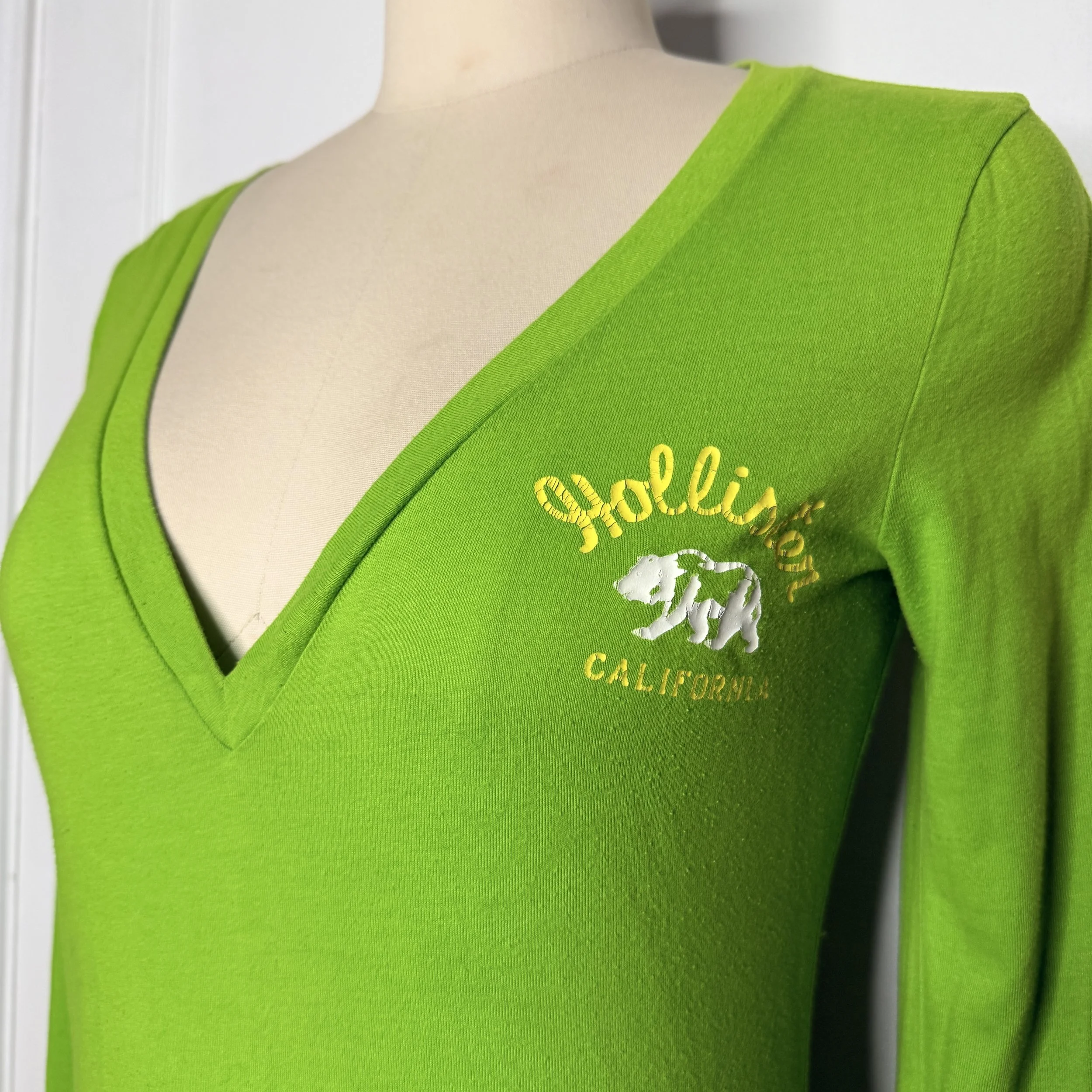 hollistergreentee2.jpg