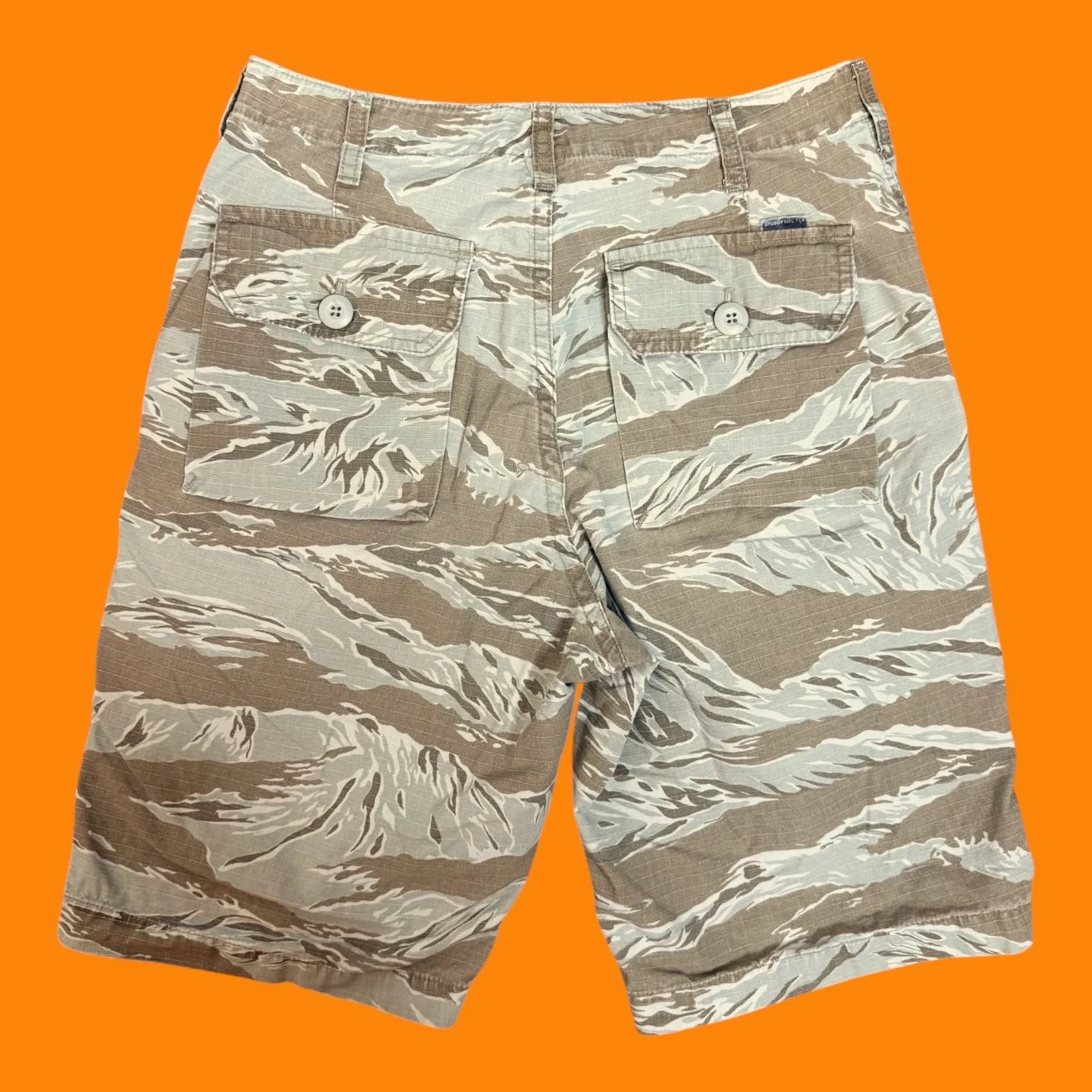 stussyshorts4.JPEG