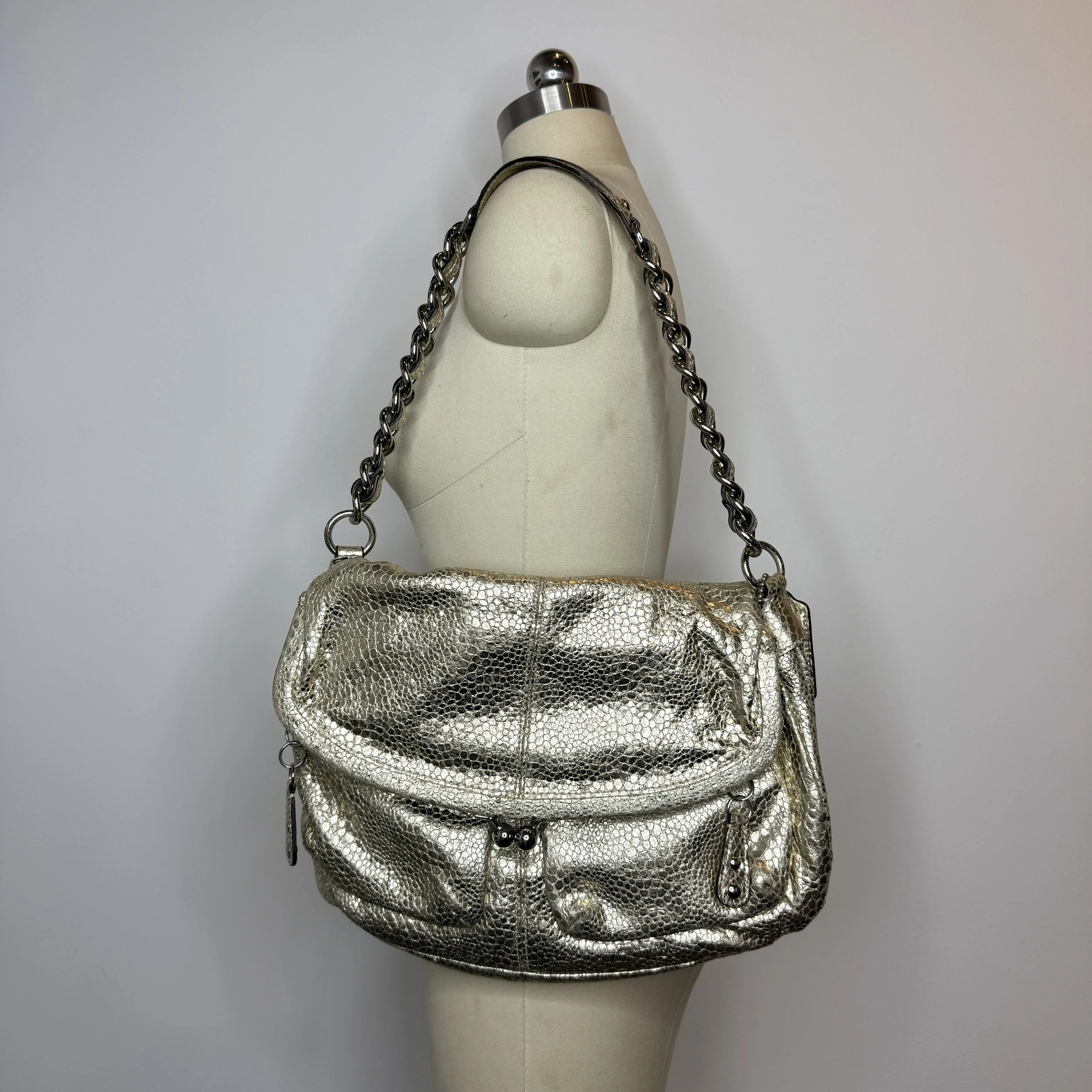 coachmetallicgoldbag9.jpg