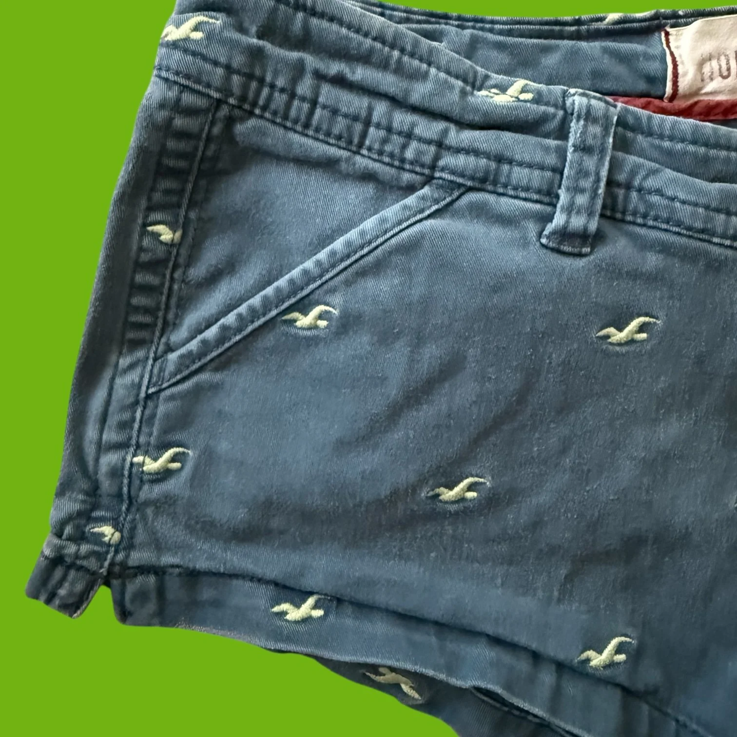 hollisterbirdshorts2.JPEG
