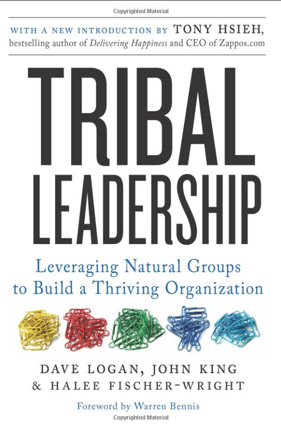 Tribal Leadership *