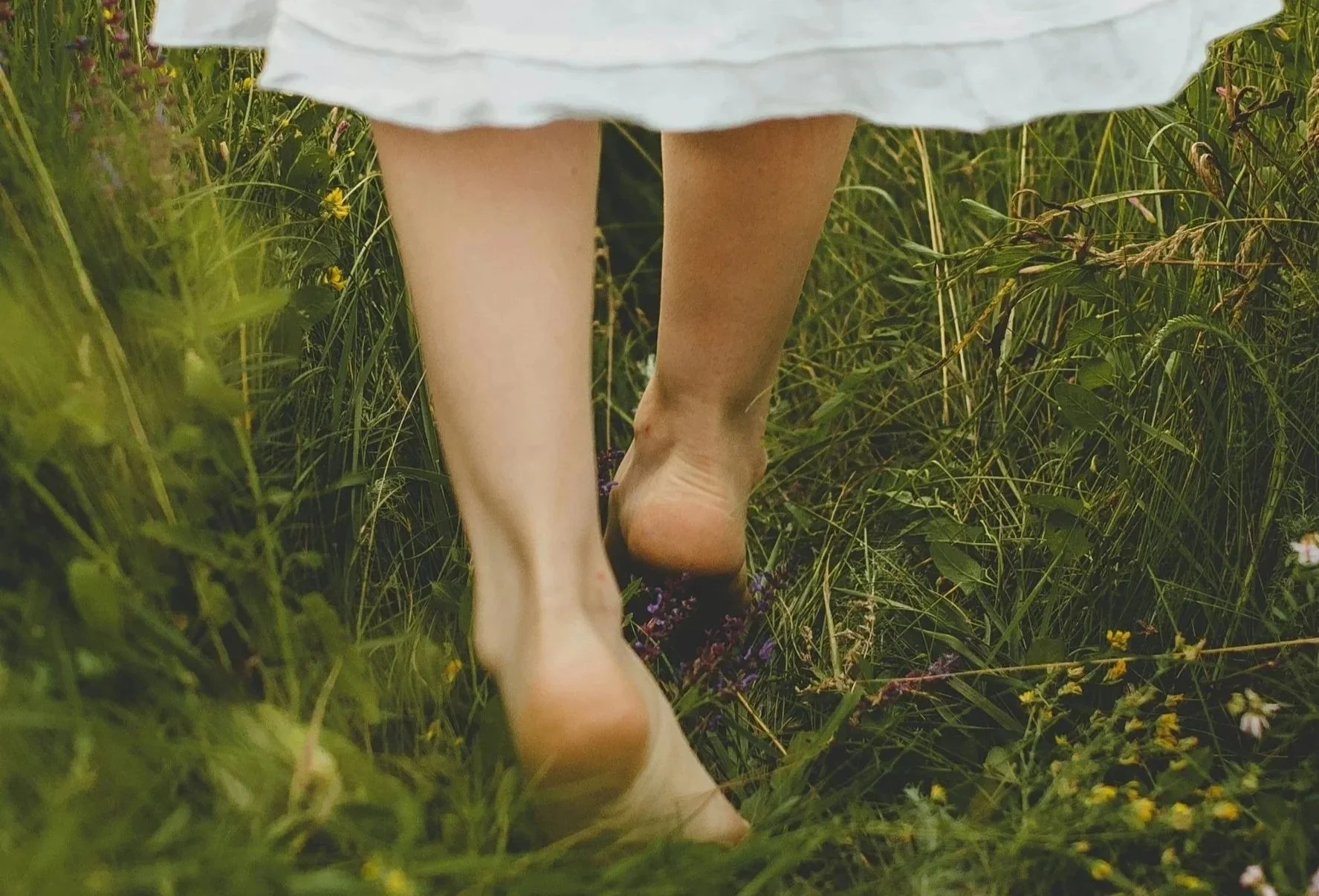 body-based healing grounding mindfulness somatic therapy Walkerville Adelaide