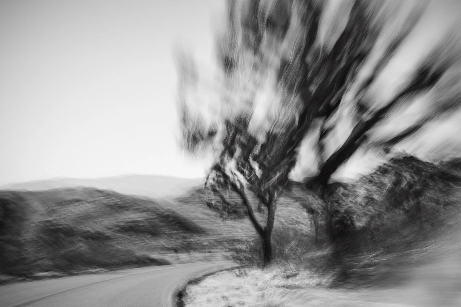 Mobile Exhibition | America Series
