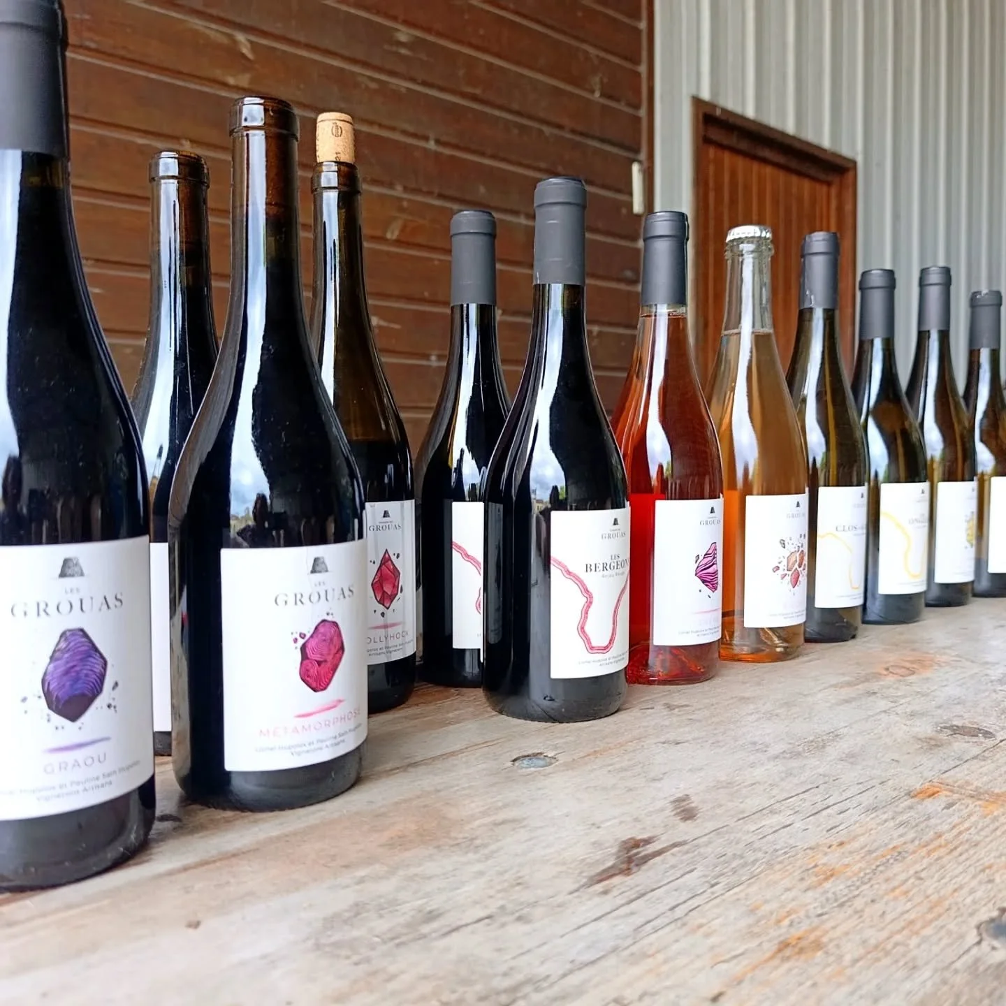Aujourd'hui, portes ouvertes au Domaine des Grouas.
Venez go&ucirc;ter toutes nos cuv&eacute;es, visiter la cave et le chai &agrave; barriques, voir nos parcelles, rencontrer nos brebis et prendre l'ap&eacute;ro.
De 10h a 18h
@quefaireaangers 
#porte