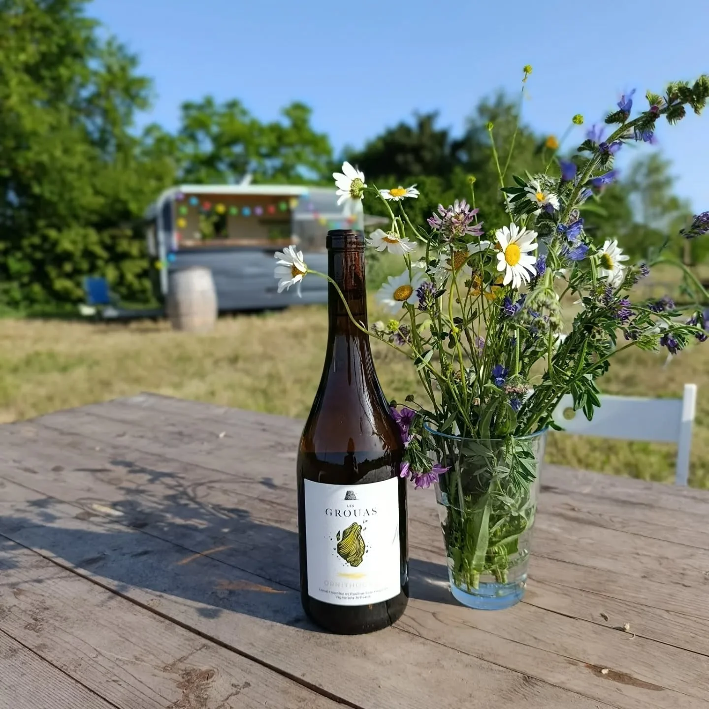 La guinguette des Grouas est ouverte, le vin au frais et les brebis vous attendent !
#guinguette 
#guinguettedeloire 
#guinguettedesgrouas