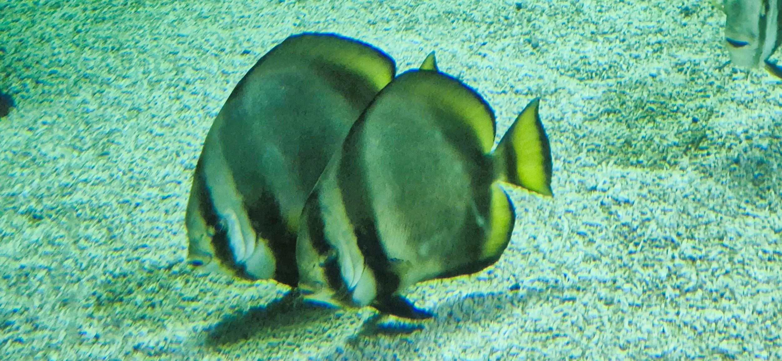 20251107_164739.jpg