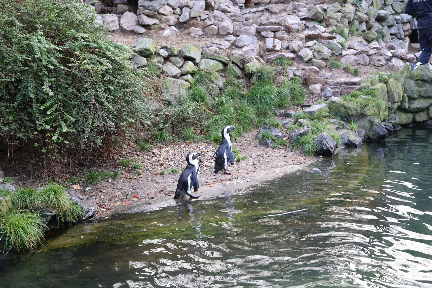 November 2025 - Werken in Burgers 