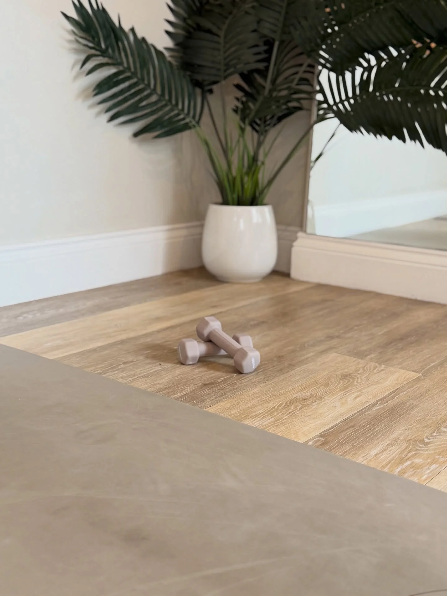 📍Our beautiful bristol studio 

#barrebristol #barreworkout #barrestudio #barre #bristol